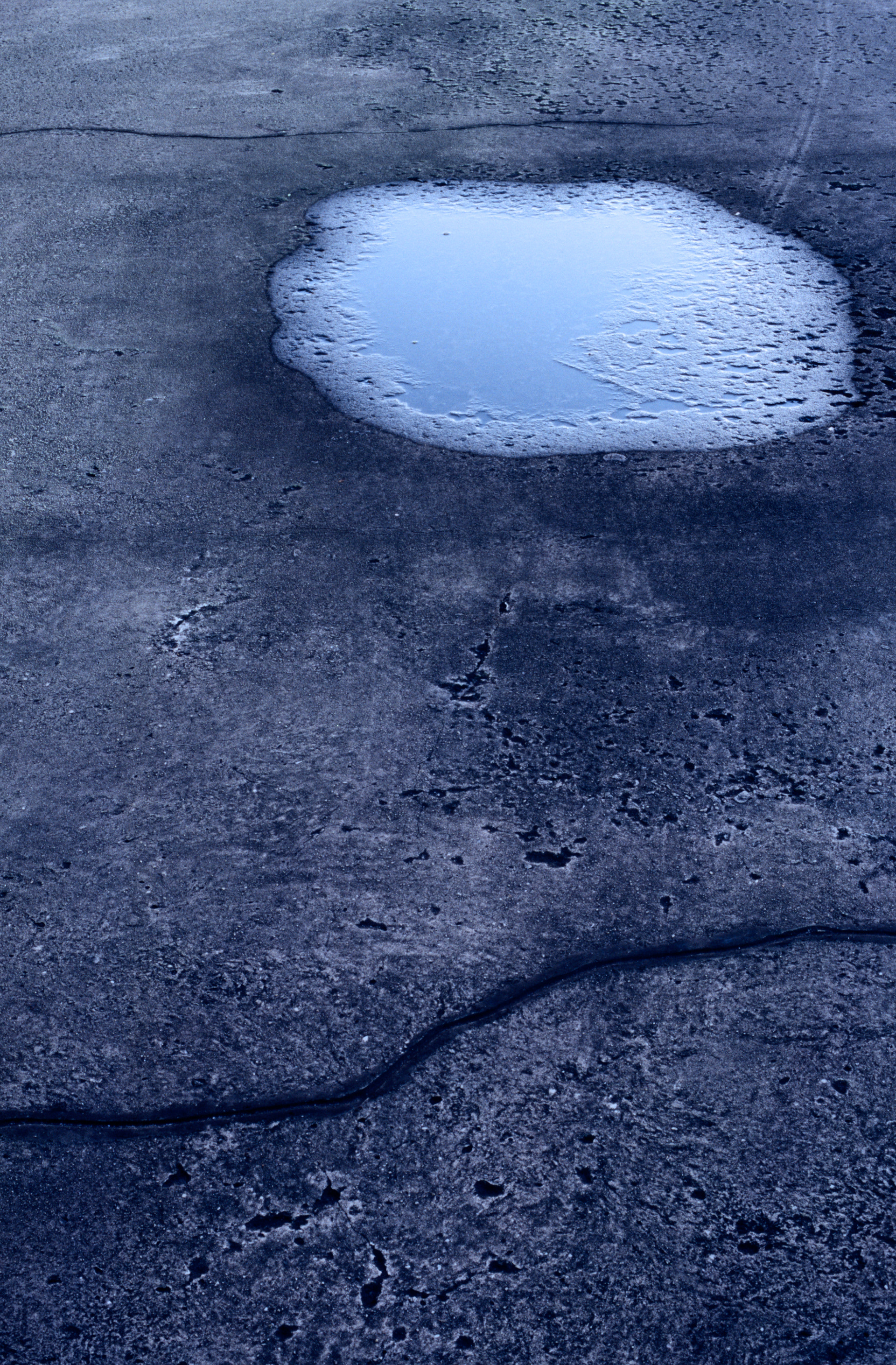 After the Rain, Atlanta Georgia