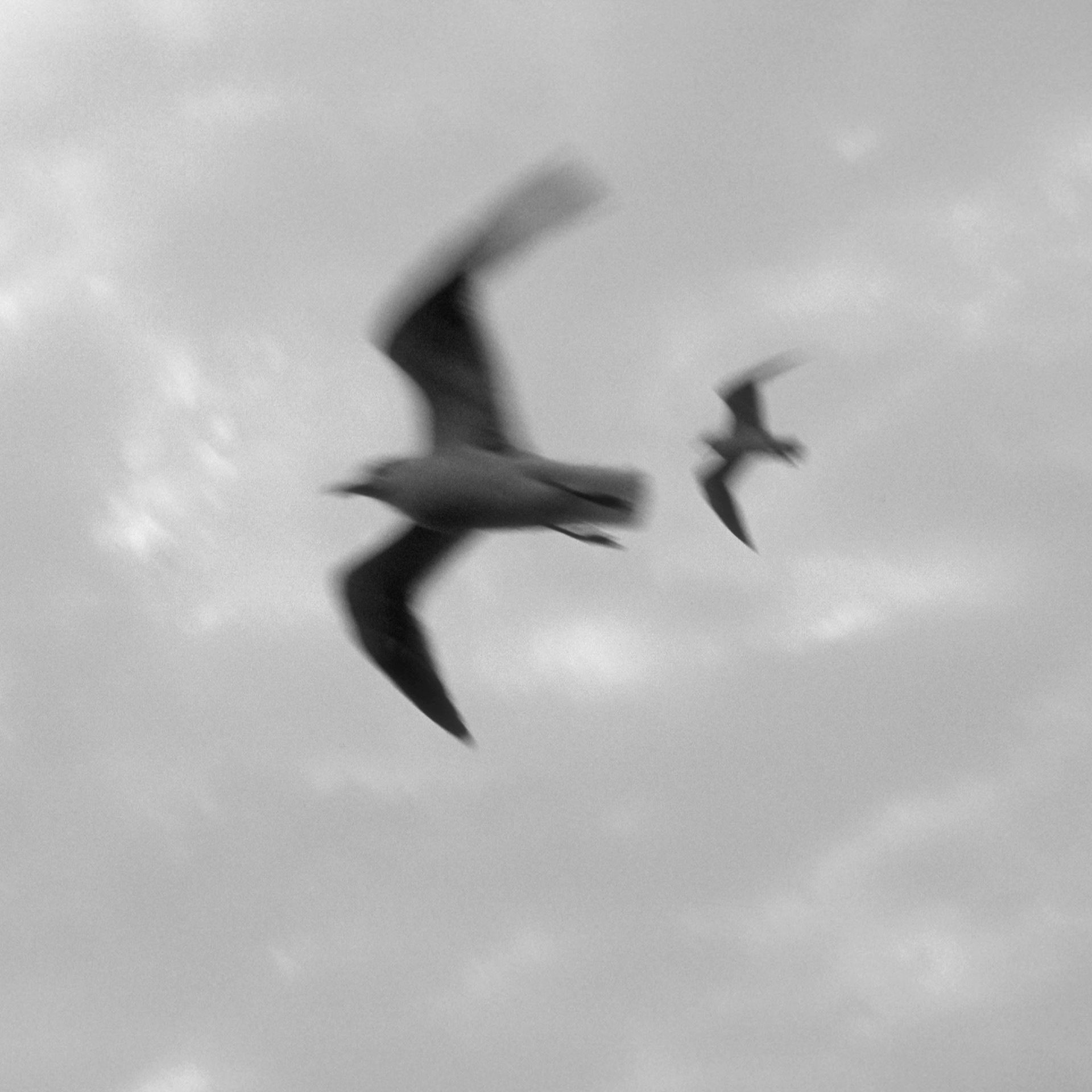 A Sense of Freedom, Tybee Island, Georgia 2001