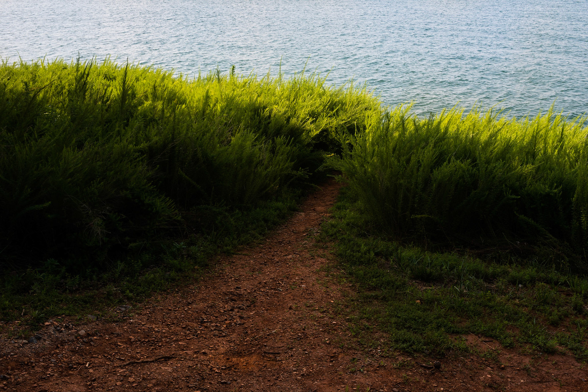 Pathway, Lake Lanier 2014