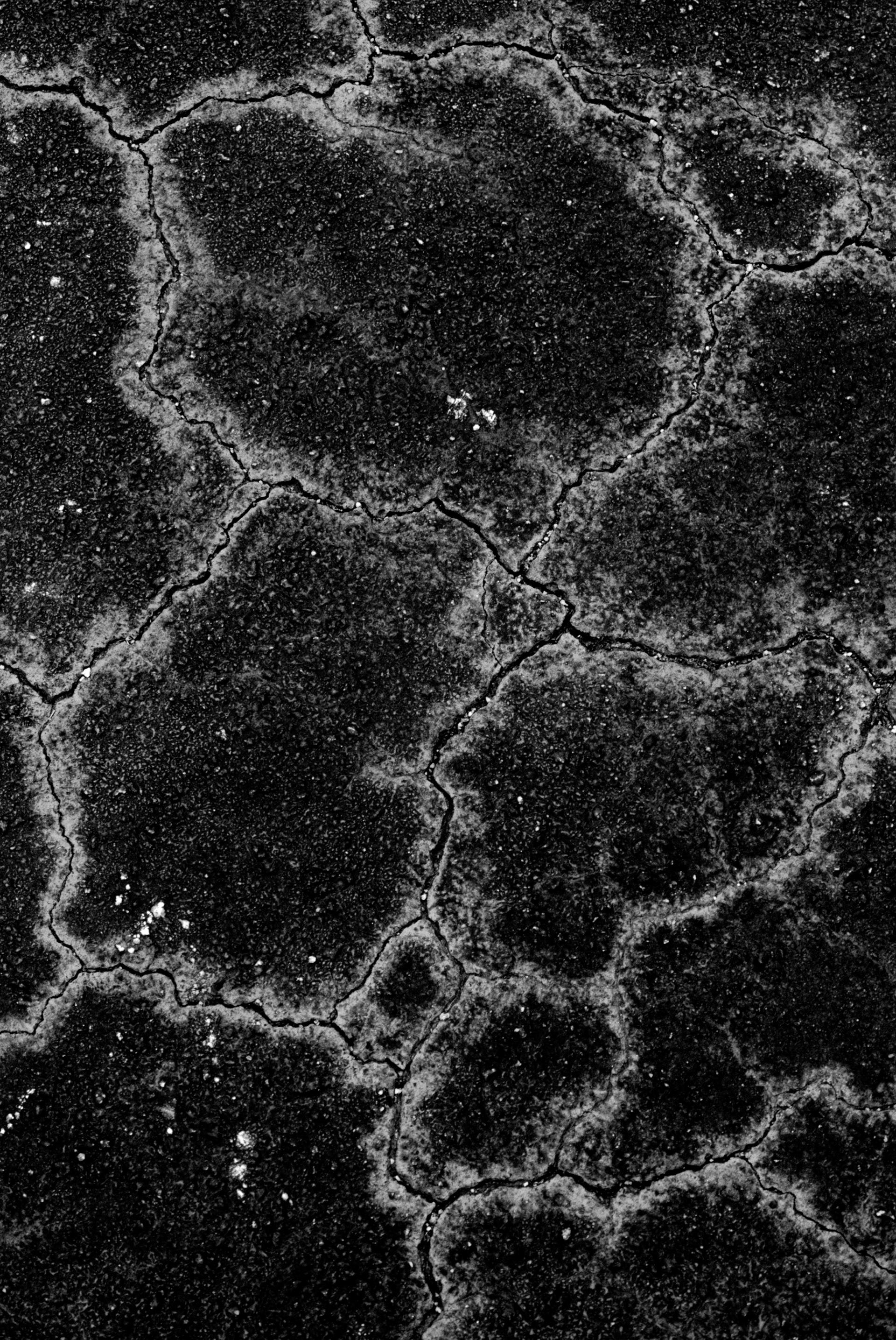 Constellation, Atlanta Georgia