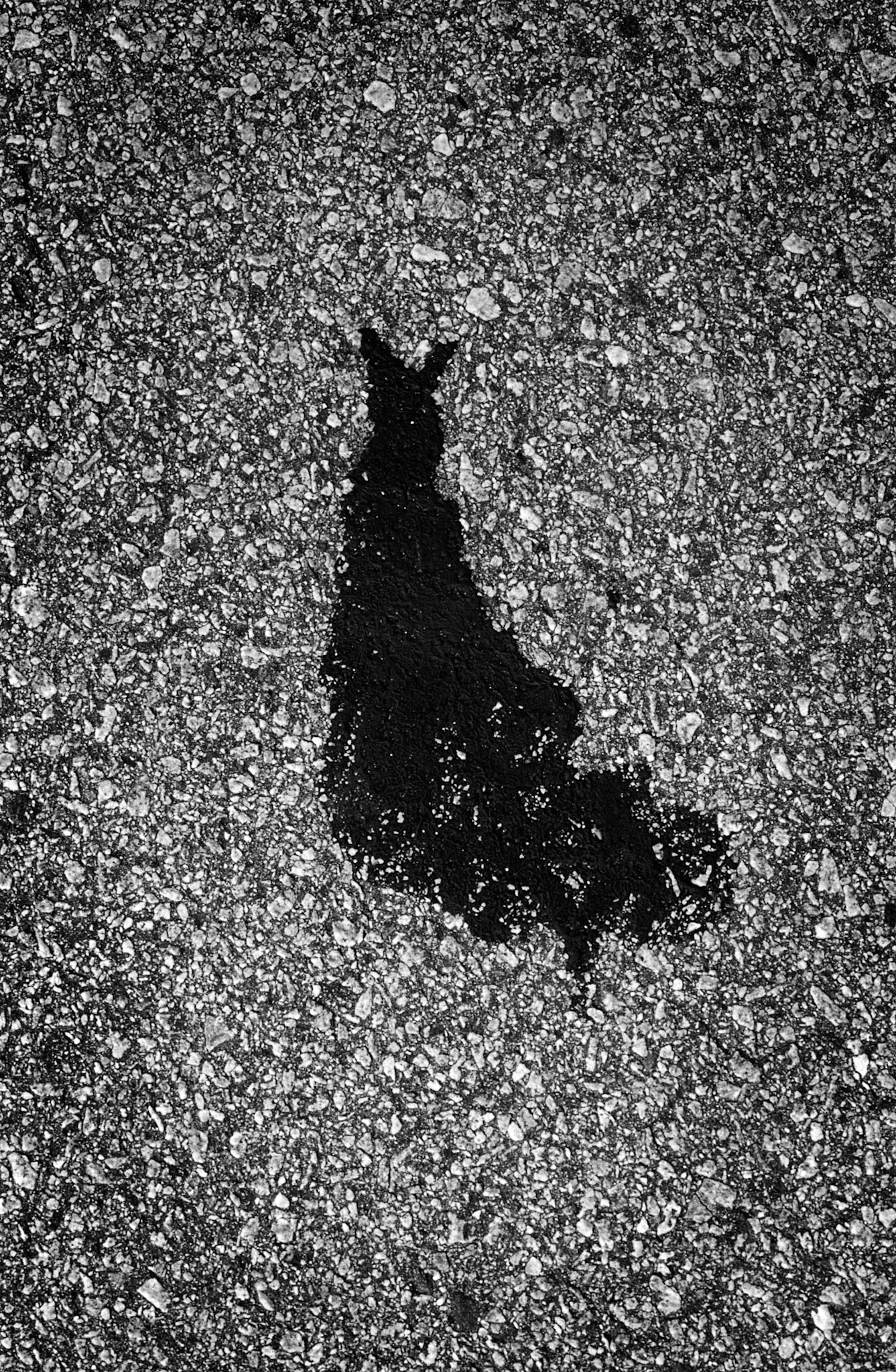 Silhouette, Atlanta Georgia 2004