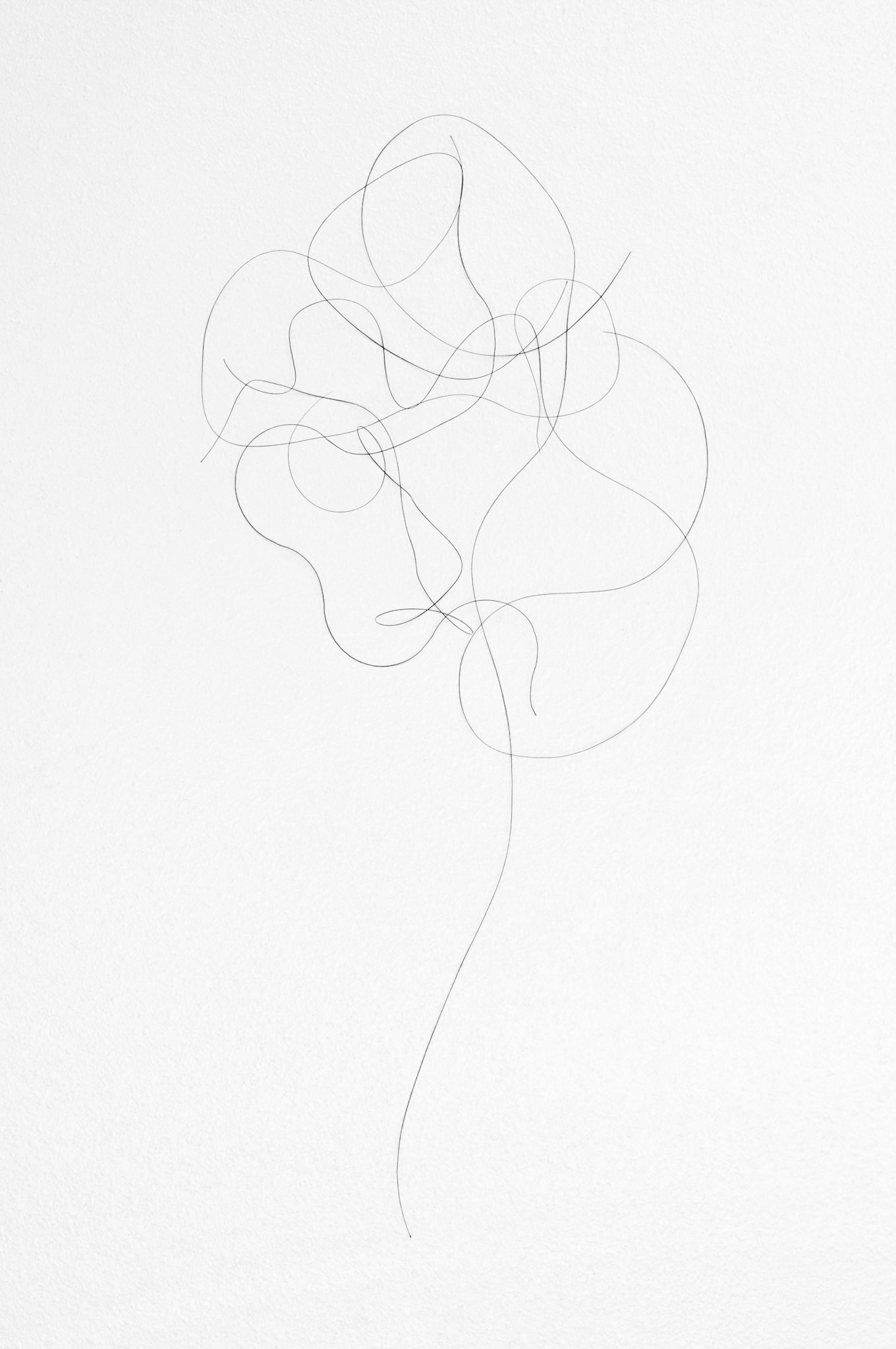 Strands of Hair Imitating a Sketch of a Tree, 2012