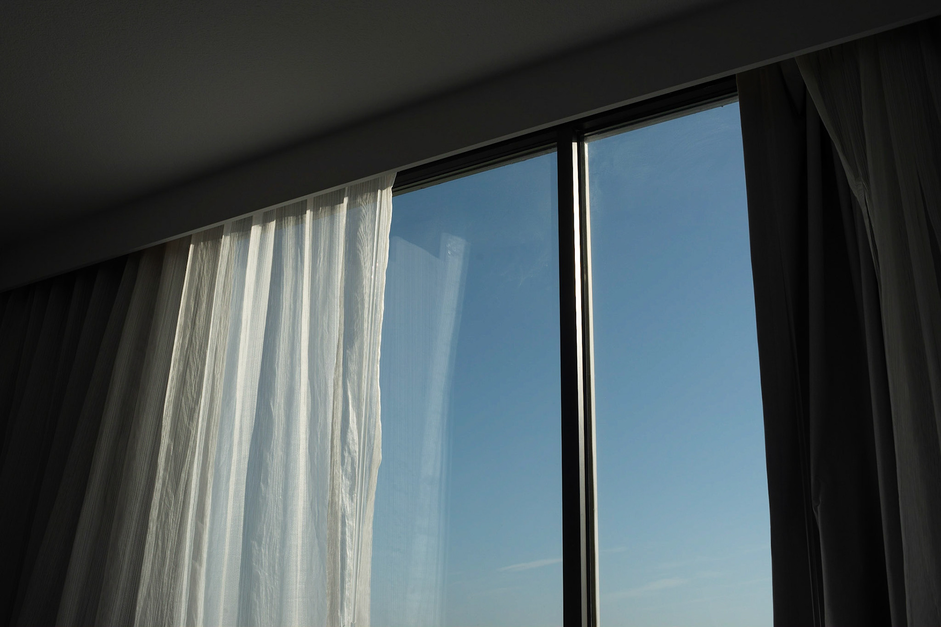 Another Hotel Room, Florida 2022