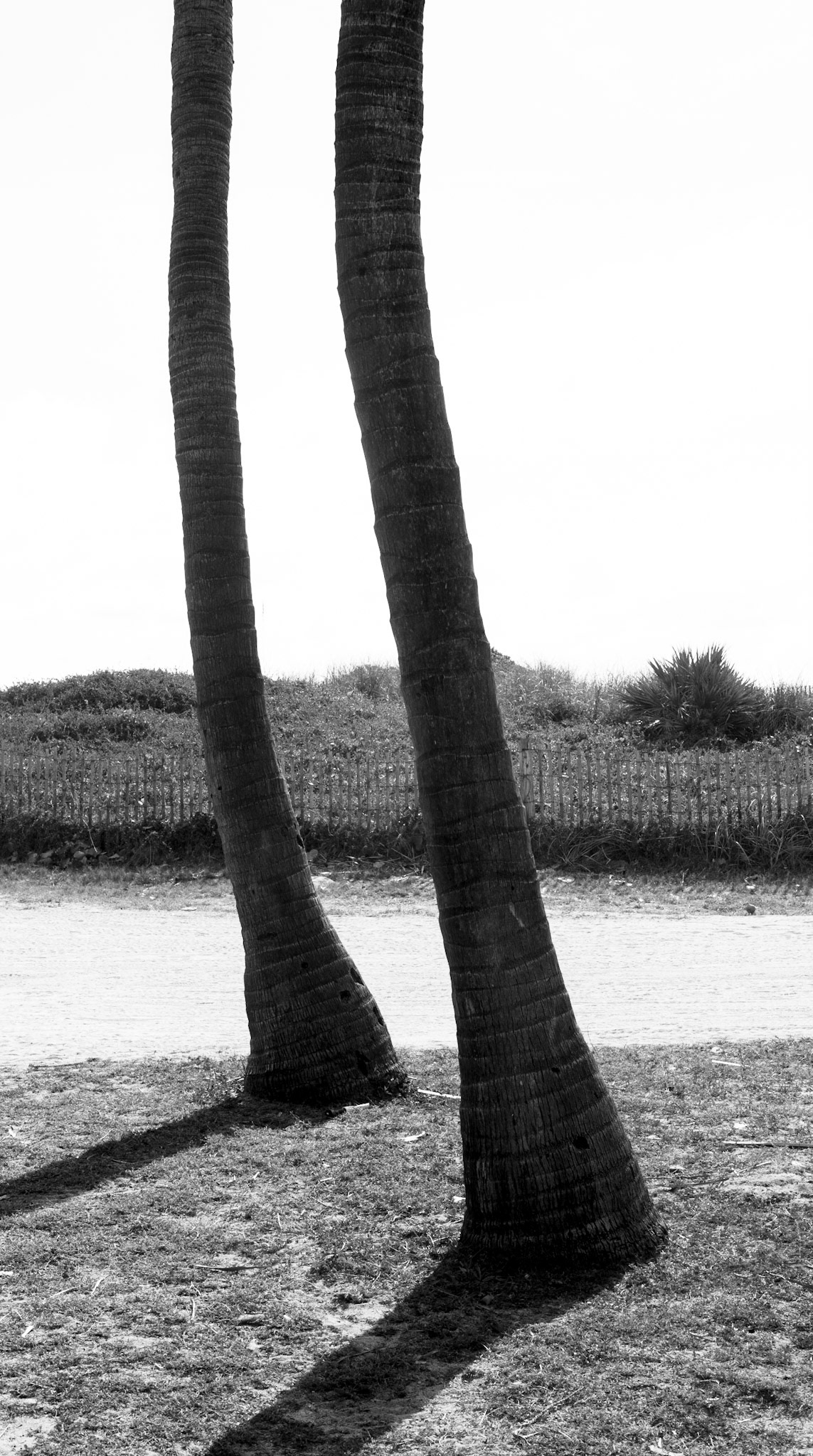 Miami Beach, Florida 2015