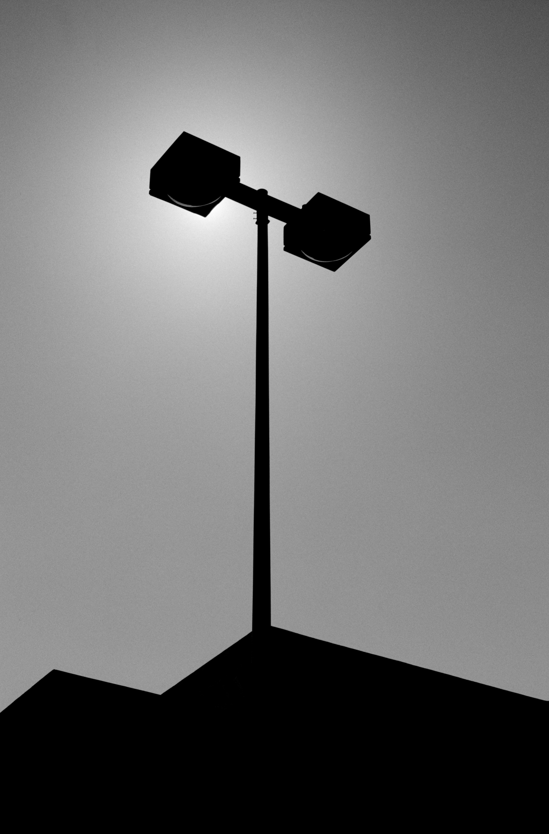 Afternoon Silhouette, Atlanta Georgia