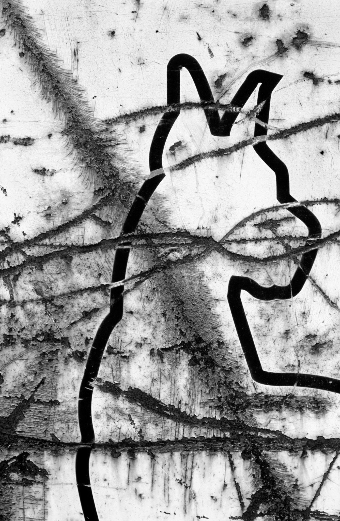Accidental Calligraphy, Atlanta Georgia 2005