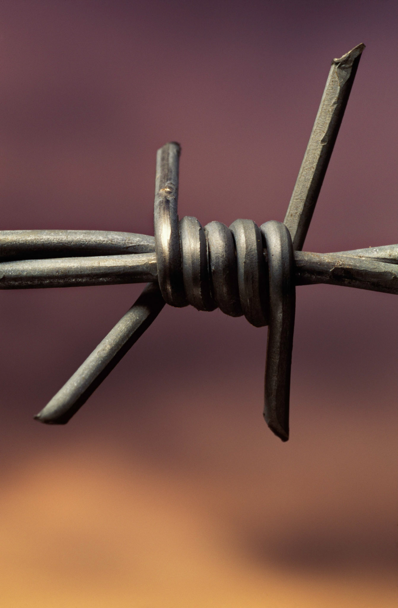 Barbed Wire at Sunset, Nicholson Georgia 1993