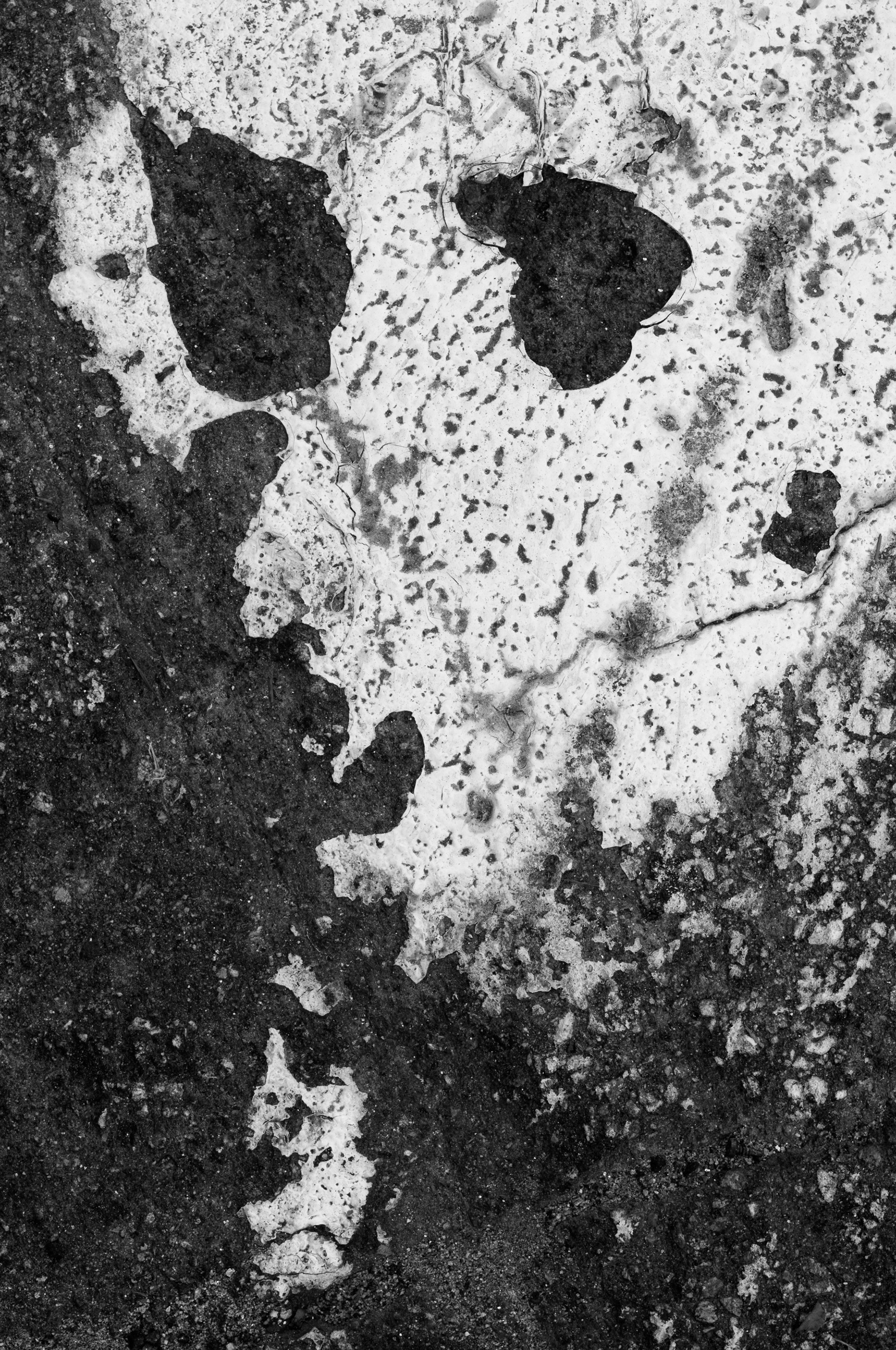 The Accidental Skull (spilled paint on asphalt), Atlanta Georgia