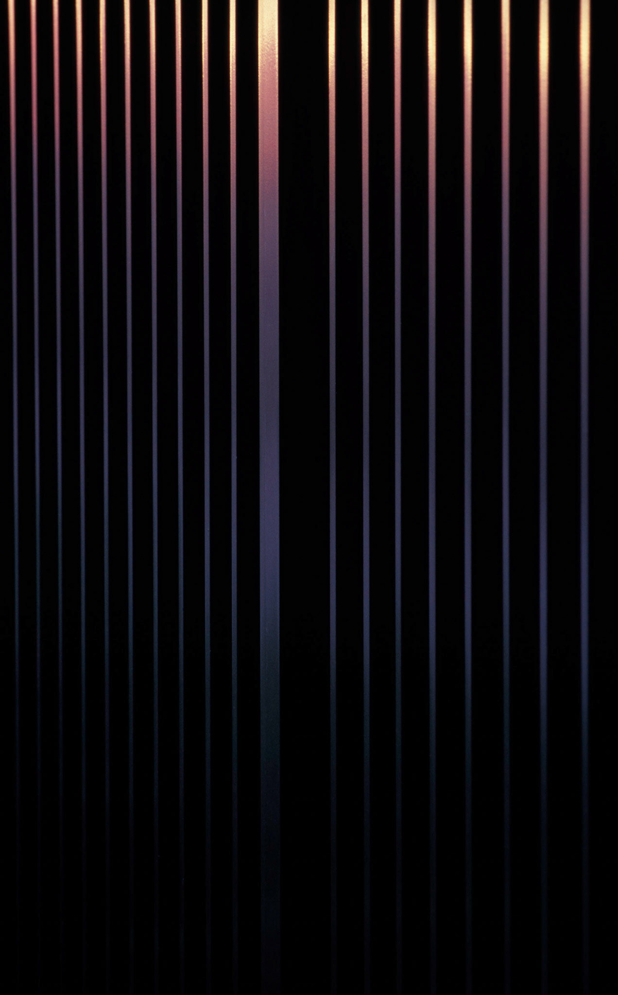 Black metal fence reflecting traffic at night, Atlanta Georgia 2009