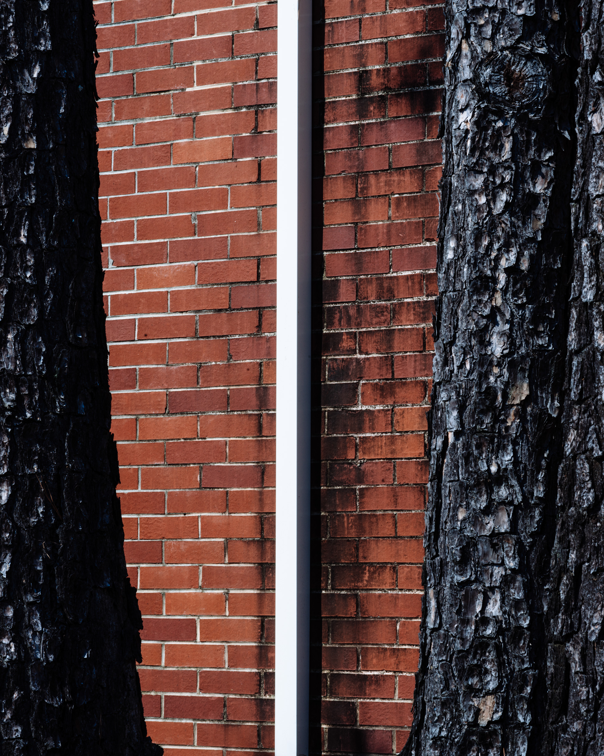 Industrial Park Detail, Atlanta Georgia