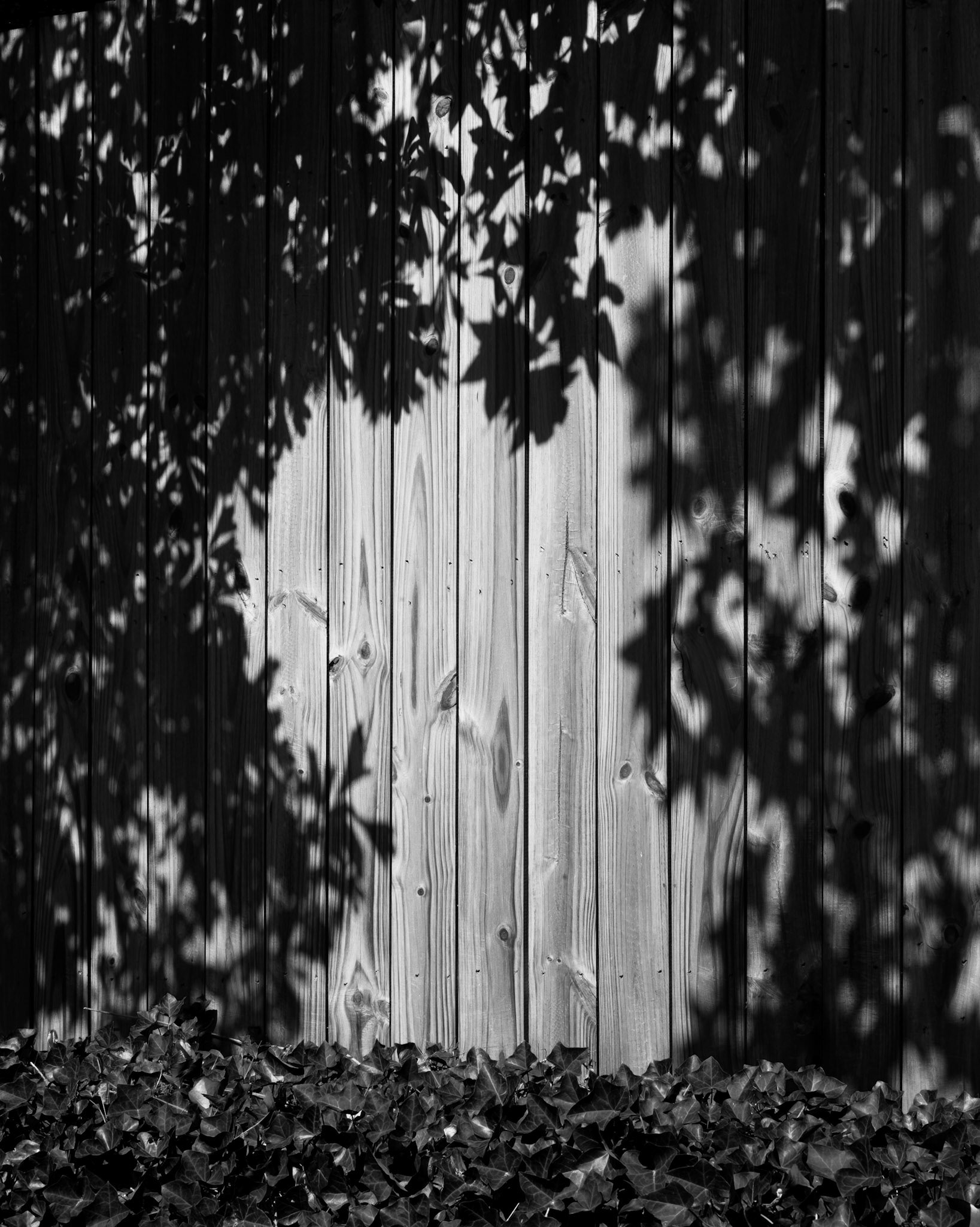 Vertical Pool of Light, Atlanta Georgia 2014