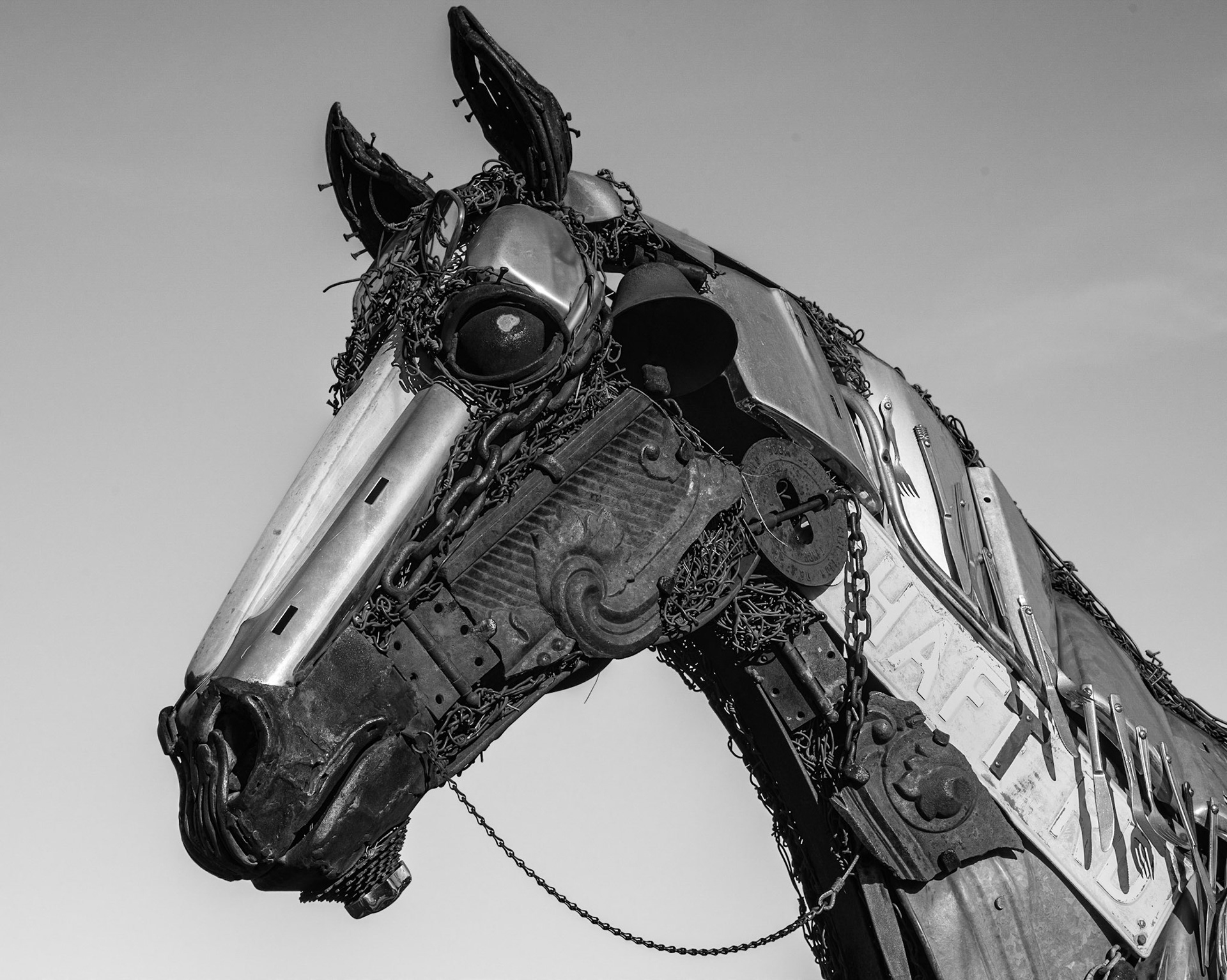 The Last Horse in Fountain Hills, AZ 2022
