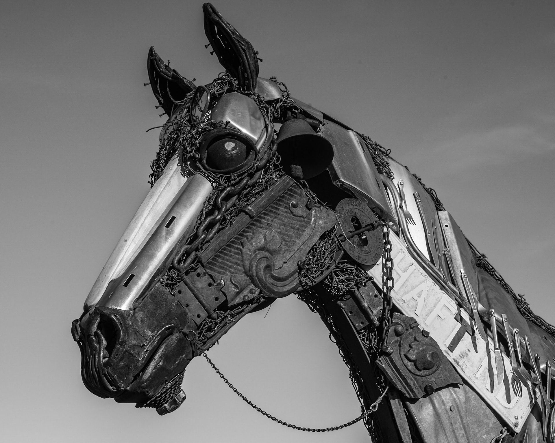 The Last Horse in Fountain Hills, AZ 2022