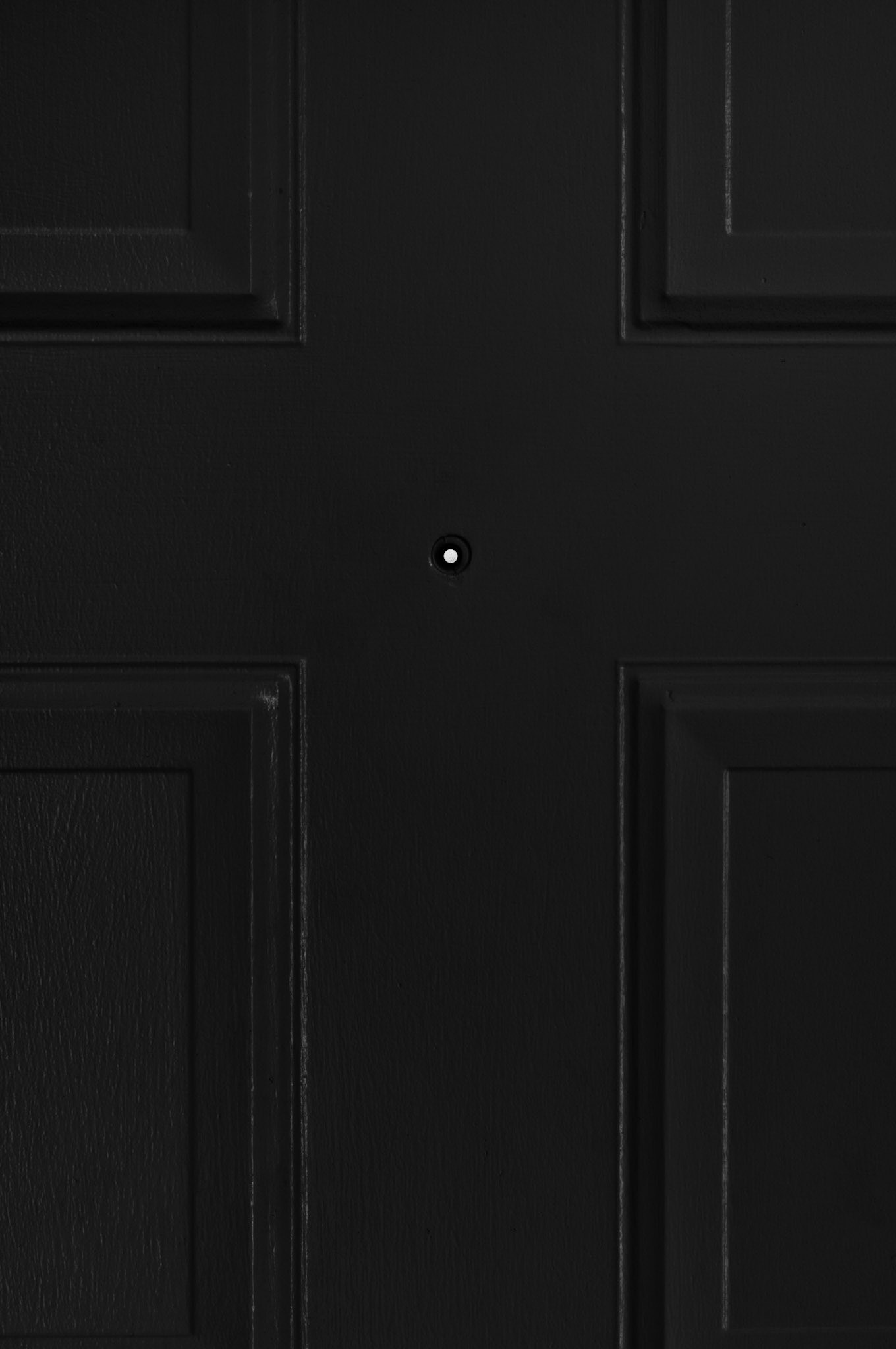 White Door with Security Peephole (dark), 2010