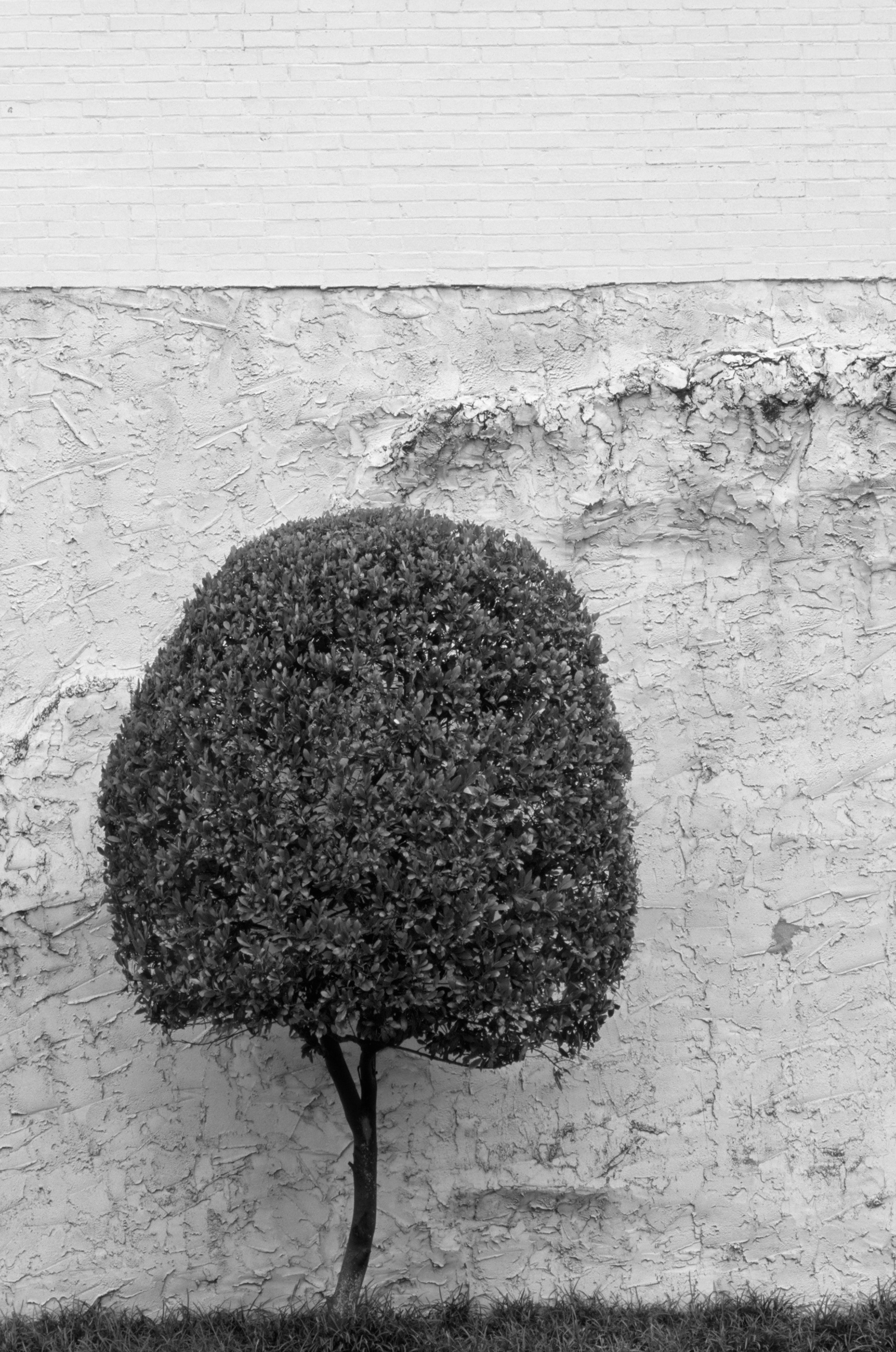 Two Dimensional Landscape, Atlanta Georgia