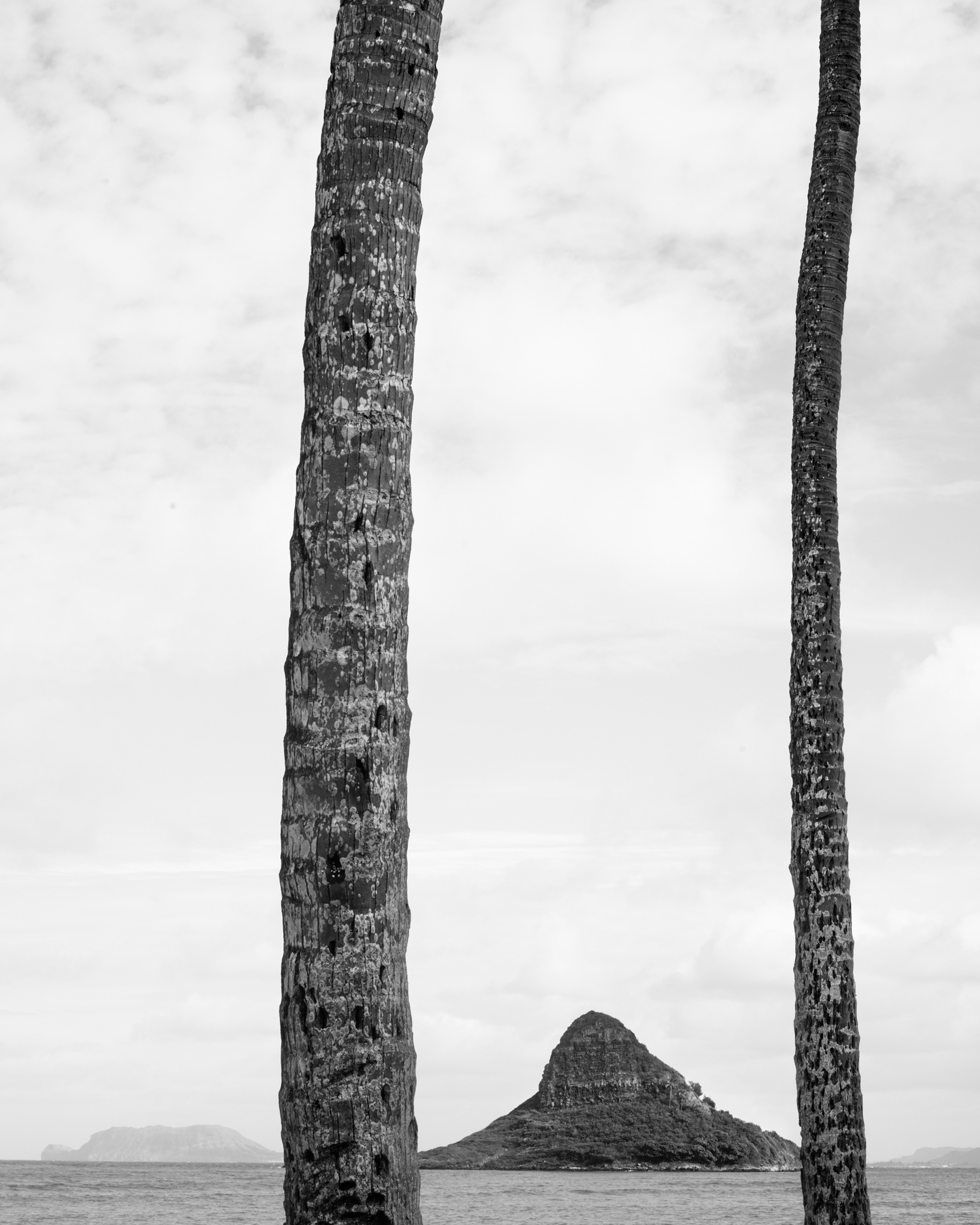 View from Kualoa Park, Oahu Hawaii