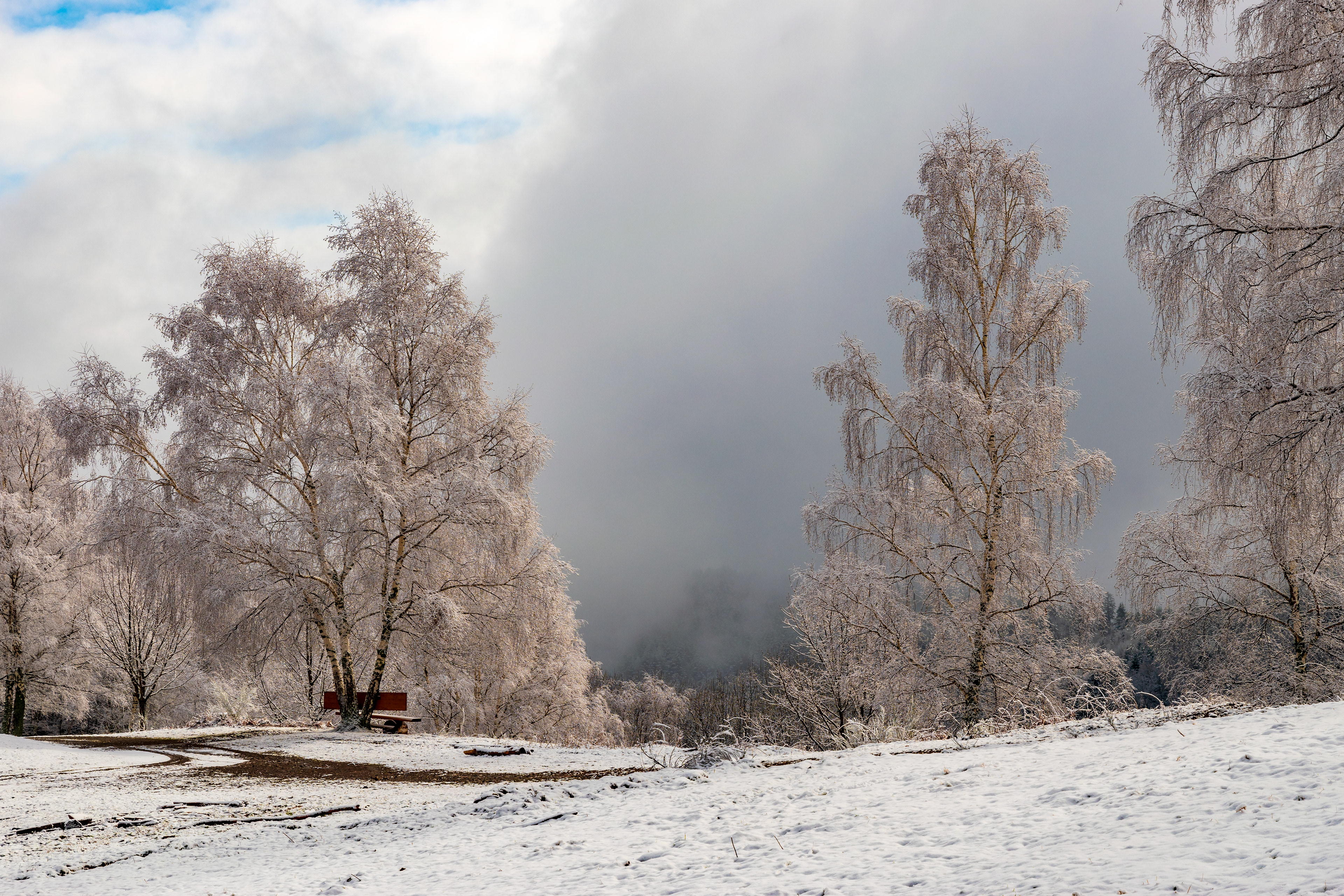 "Le brouillard est la coquetterie du soleil" - Forêt de Niederbruck