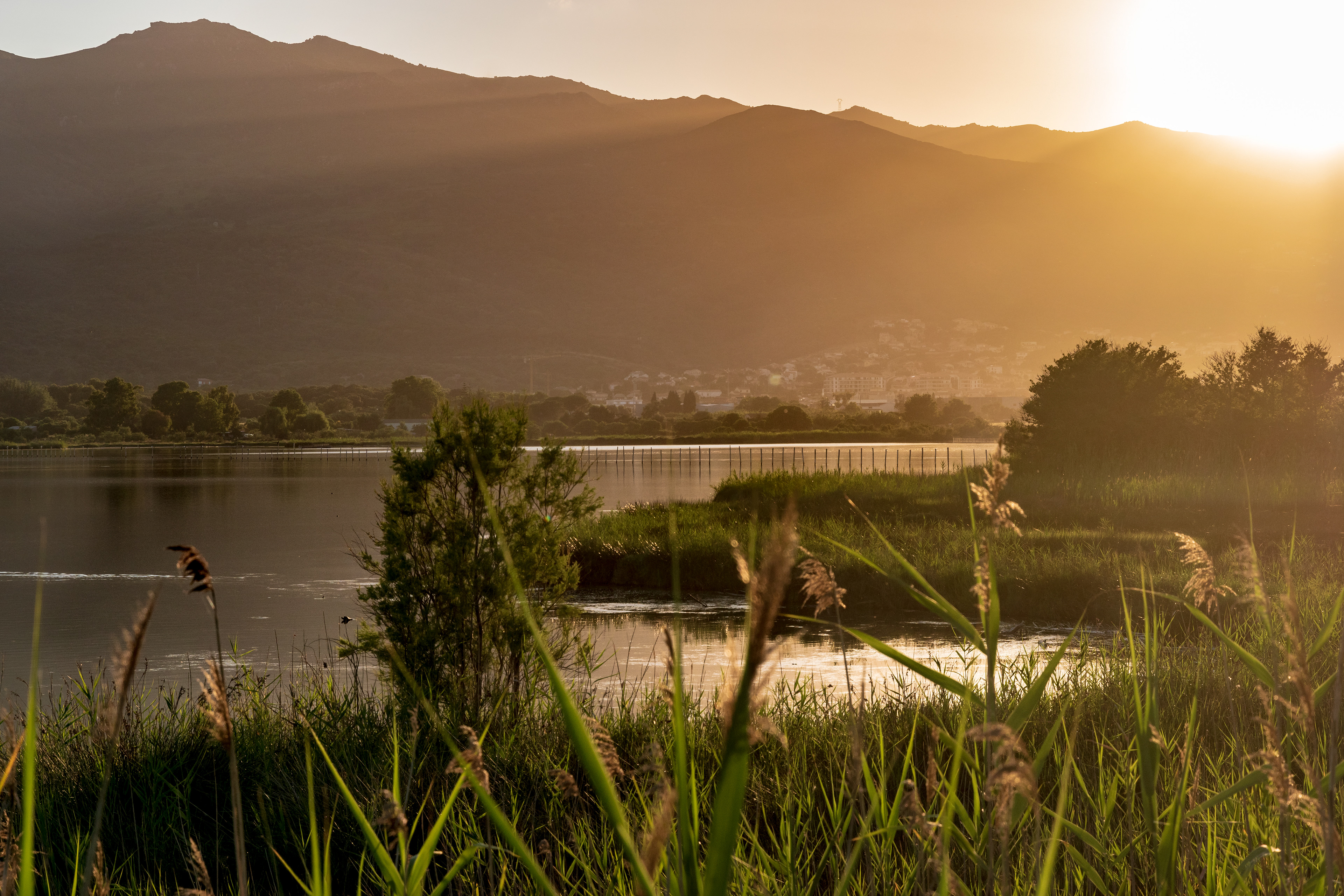 Etang de Beguglia - Corse