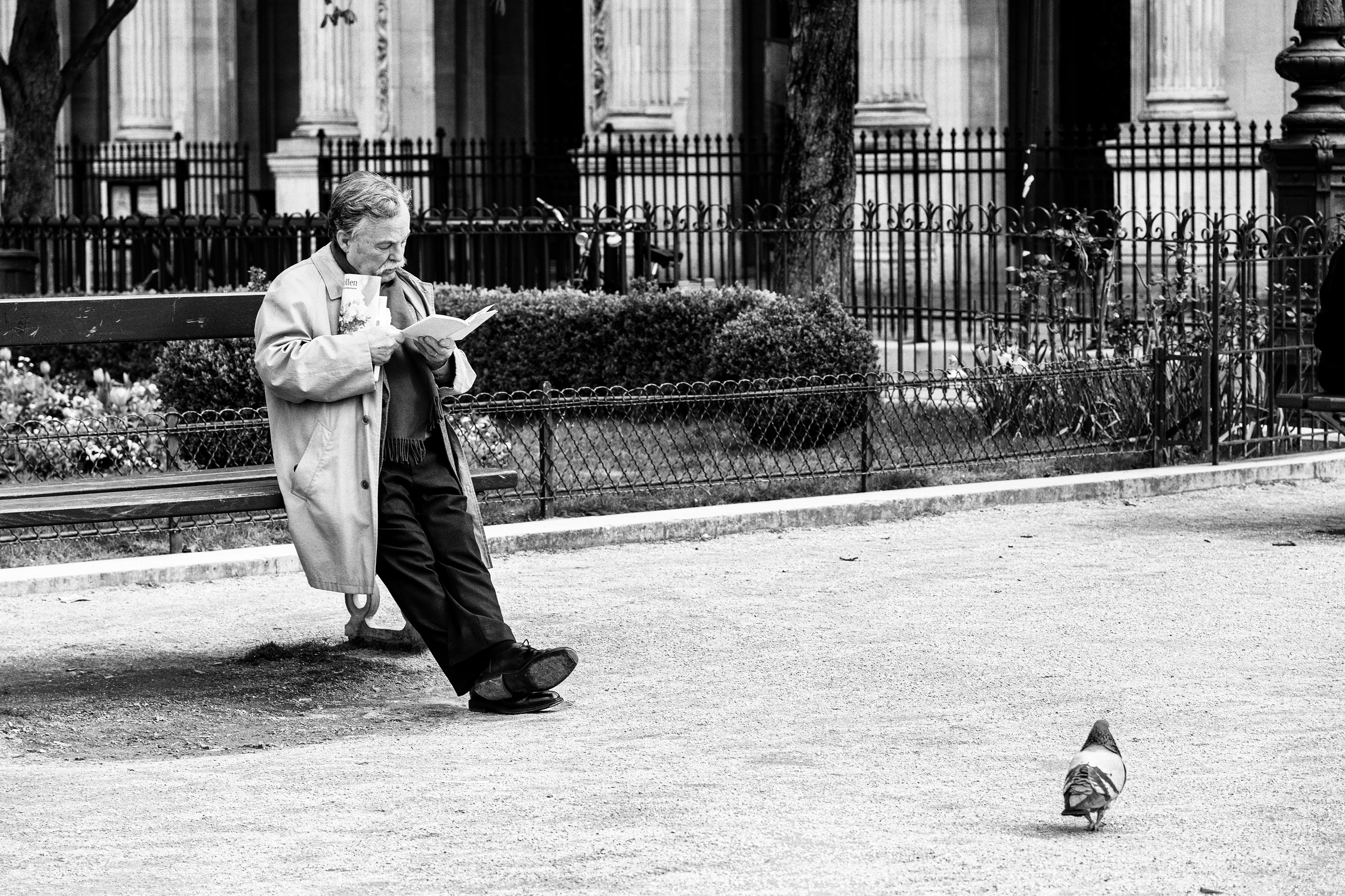 Sur un banc - Paris