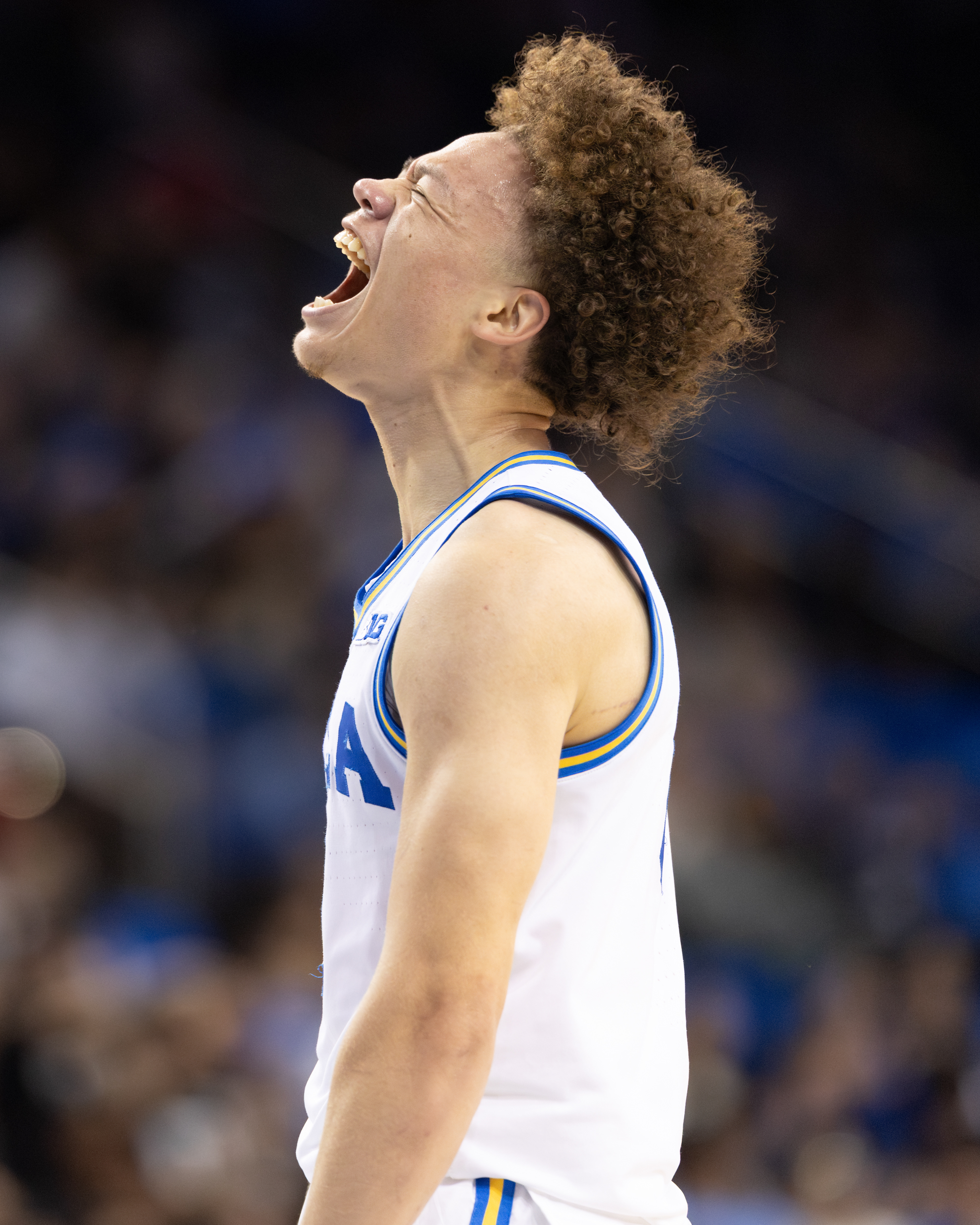 UCLA guard Trent Perry celebrates on the court during an NCAA basketball game at Pauley Pavilion in Los Angeles, CA