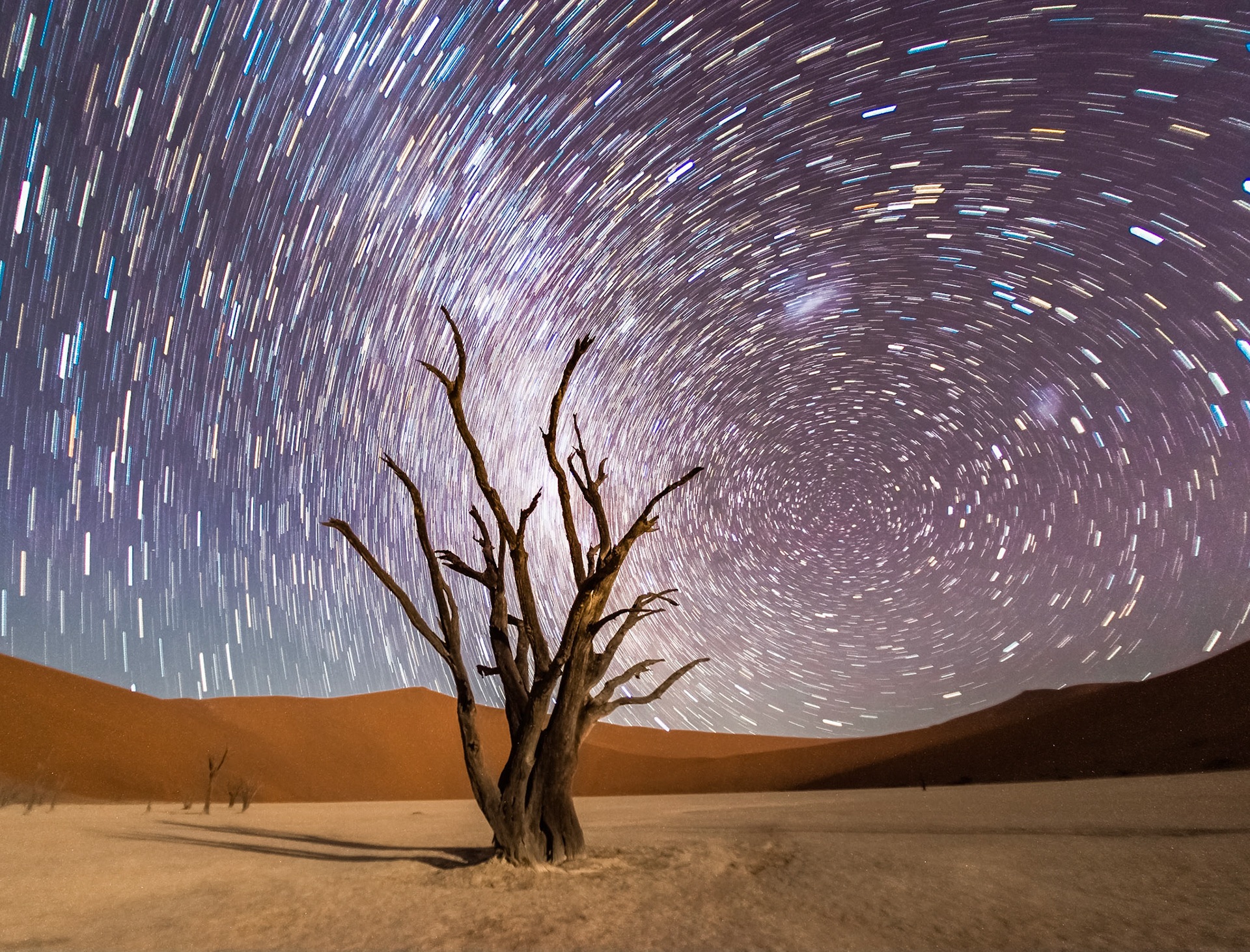 The tree is dead for 700 years already and saw this stars rotating many many times.... Deadvlei, Namibia