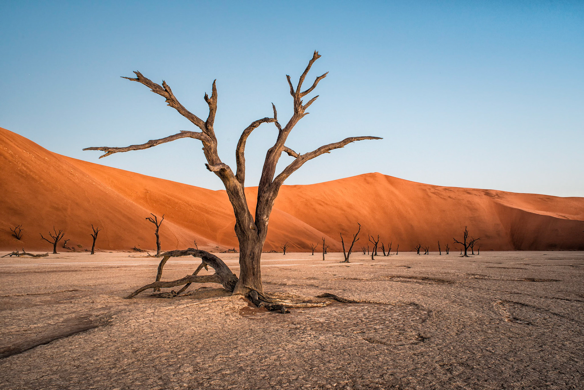 Just after sunset in Deadvlei.