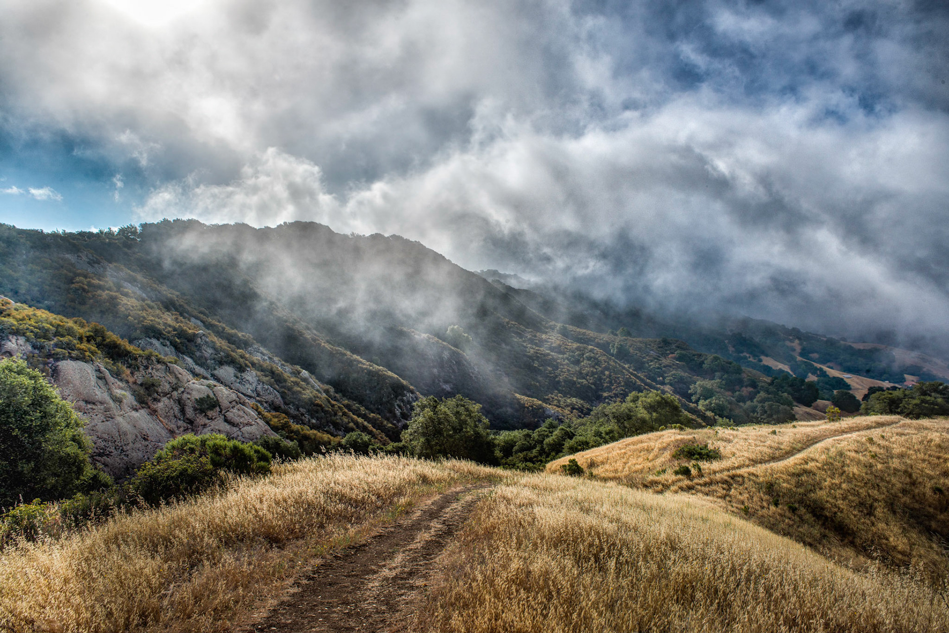 Las Trampas at fog
