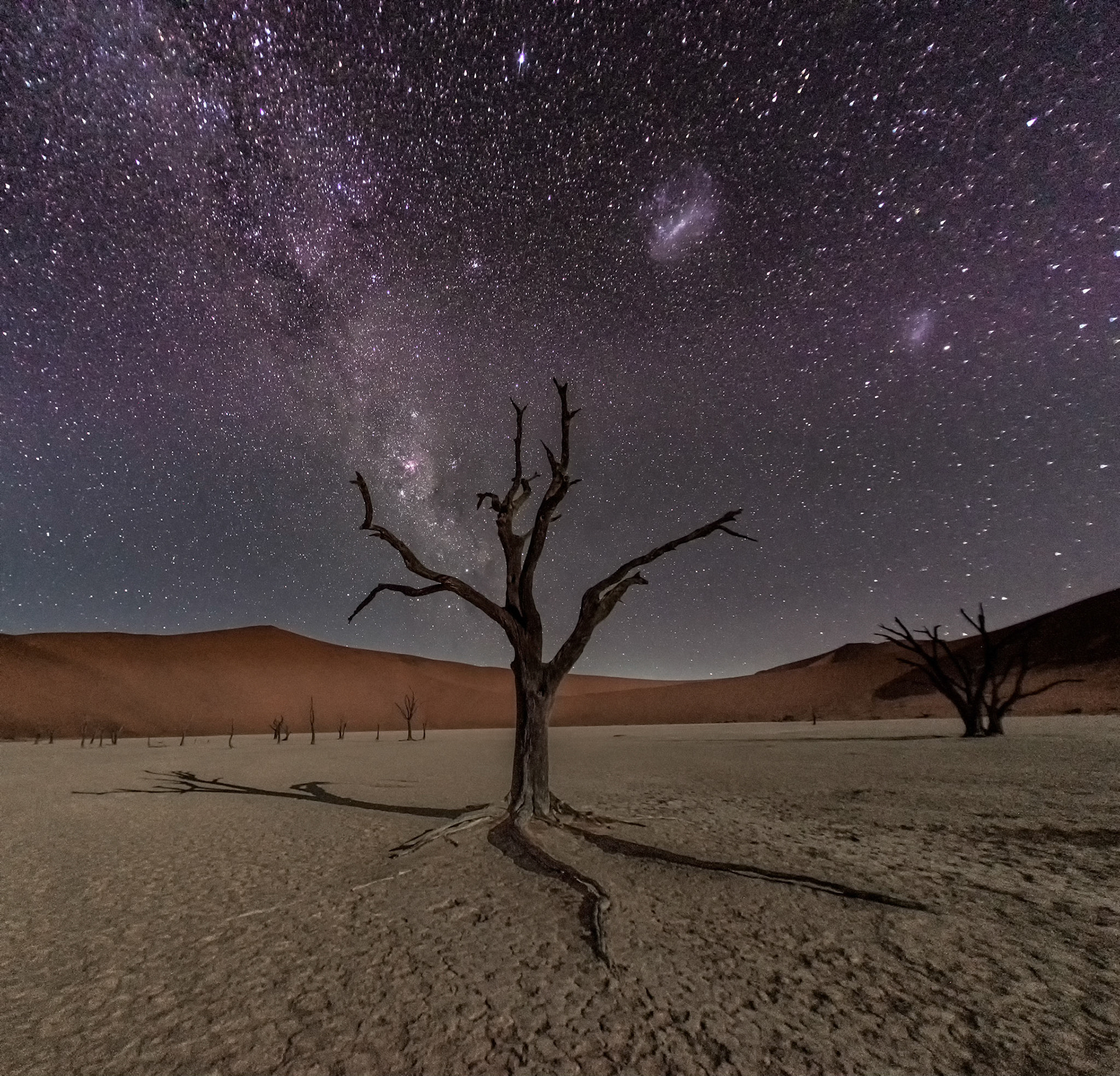 Milky way above dead trees and dunes