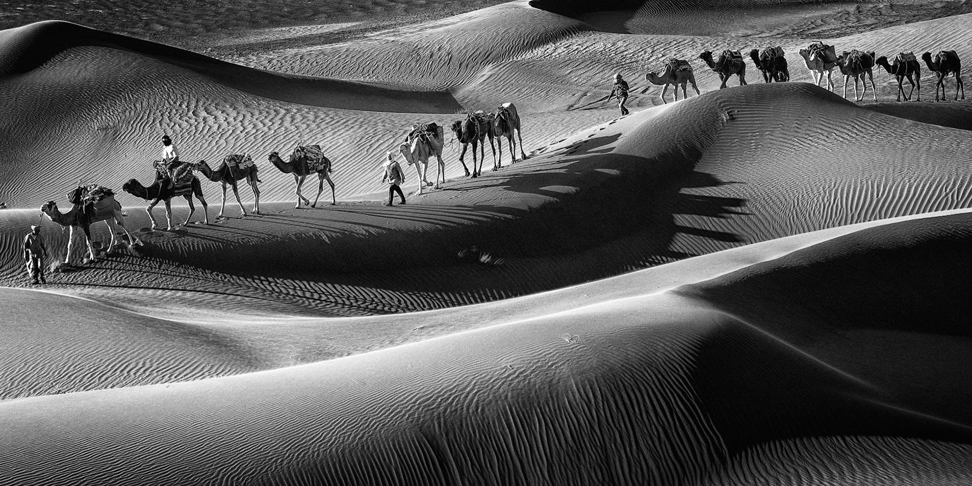 Sahara