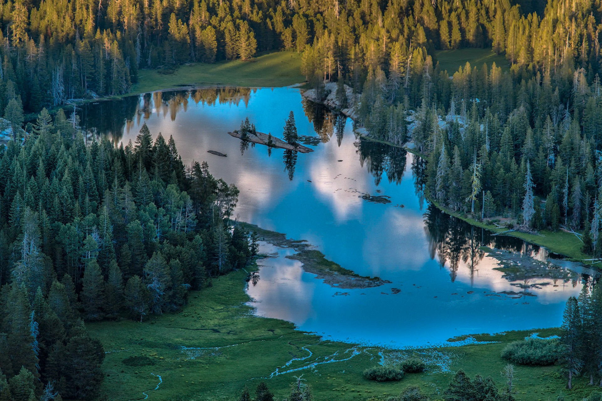 Reflections