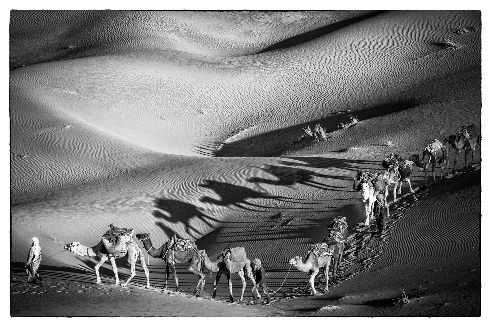 Caravan