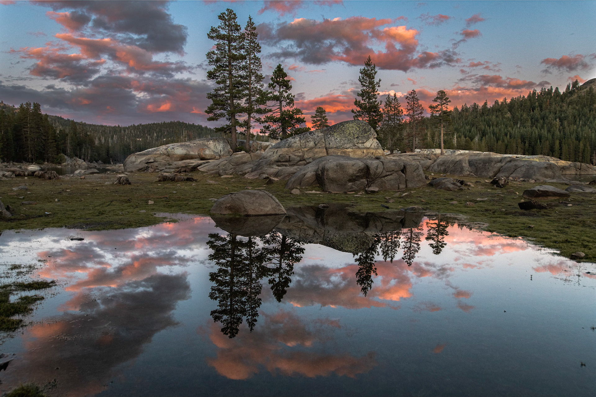 Reflections