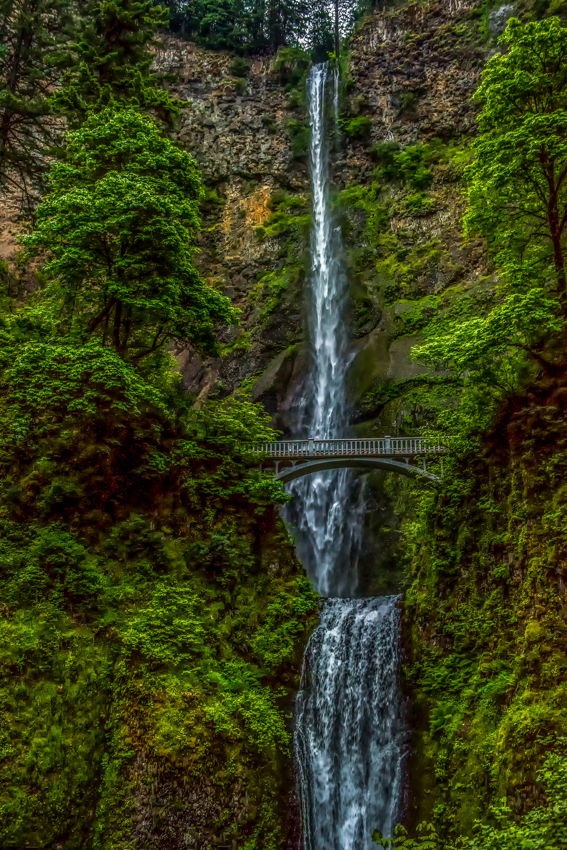 Multnomah Falls before the fire