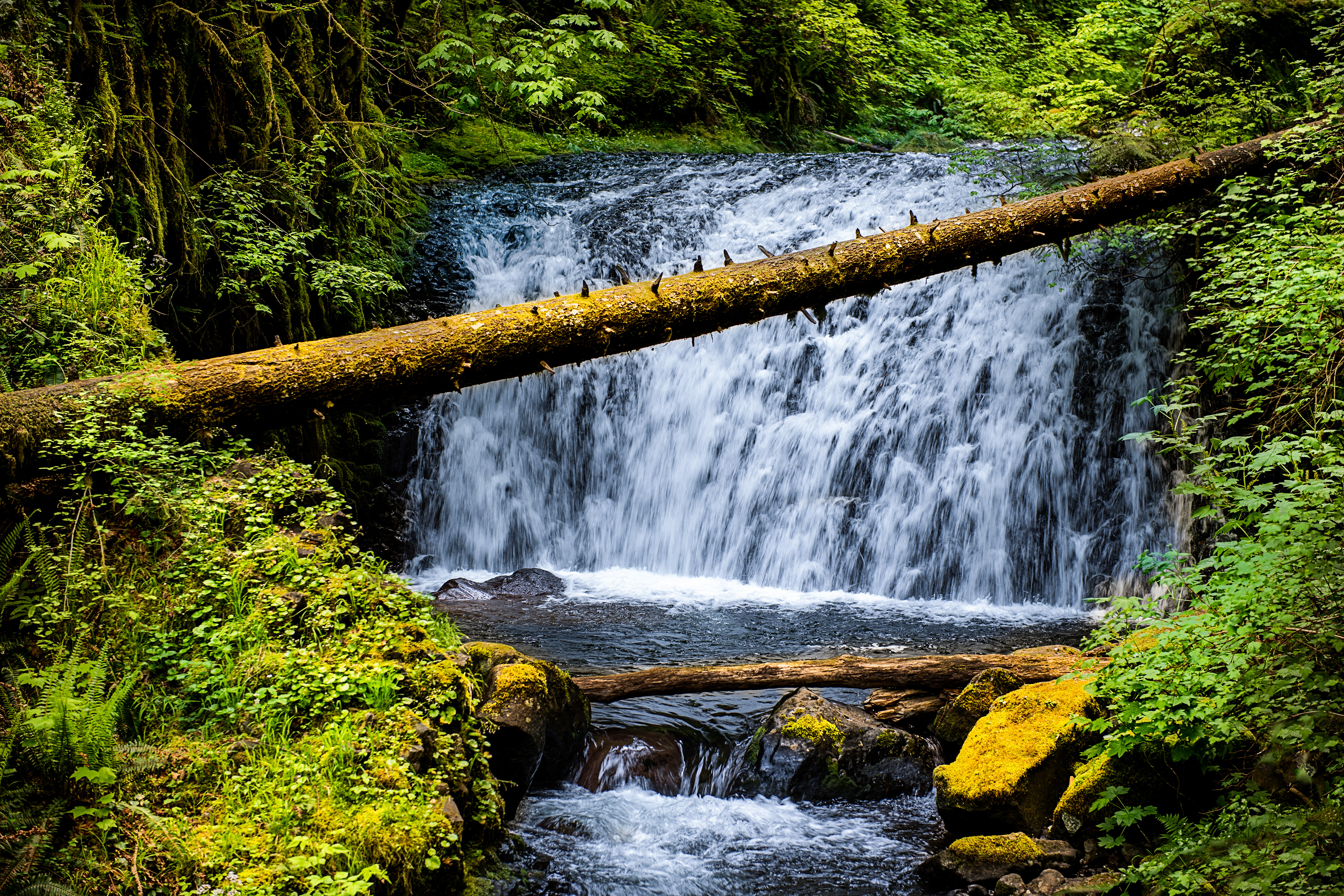 Water Fall in the Columbia gorge before the fire