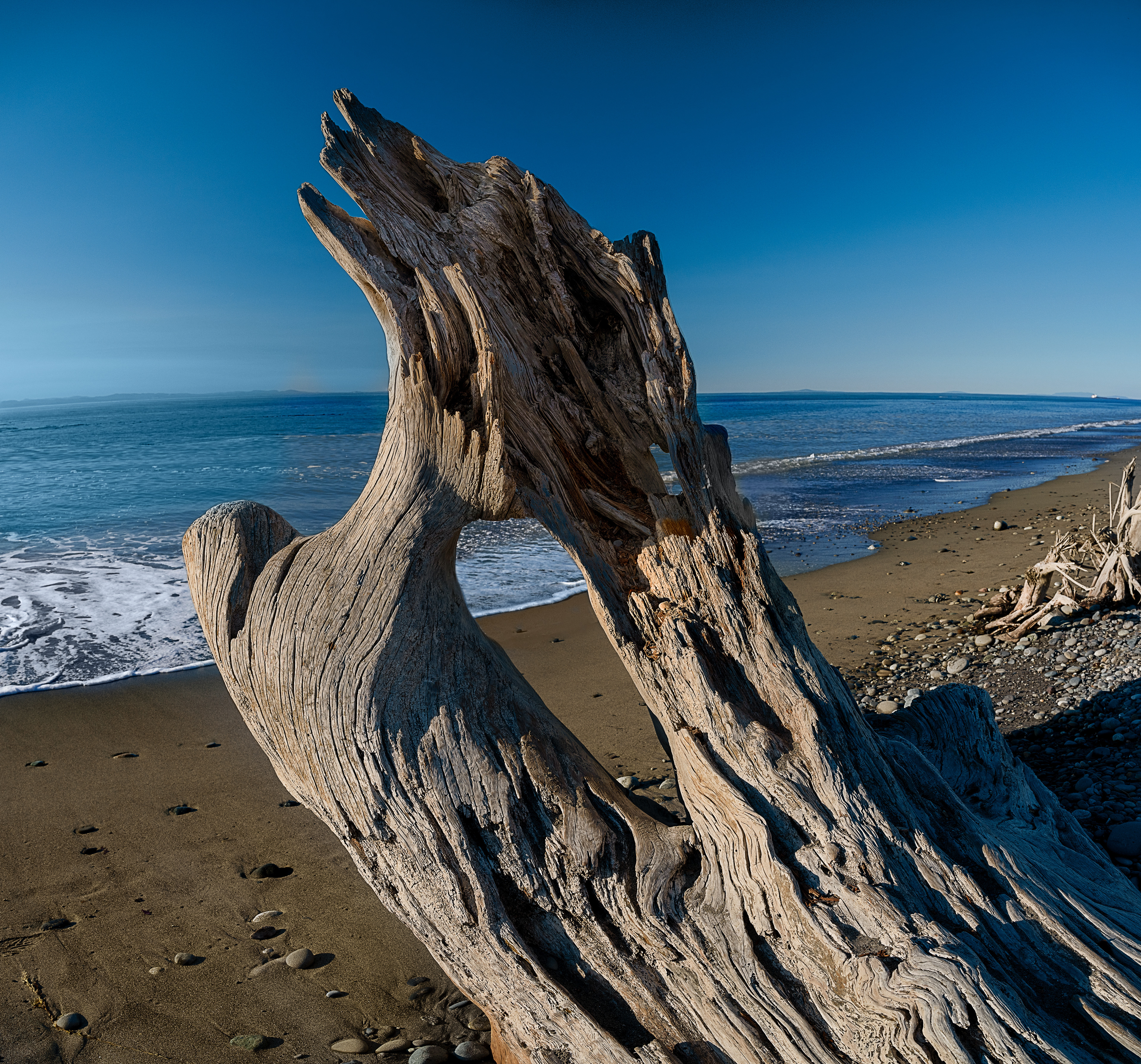 Dungeness Spit