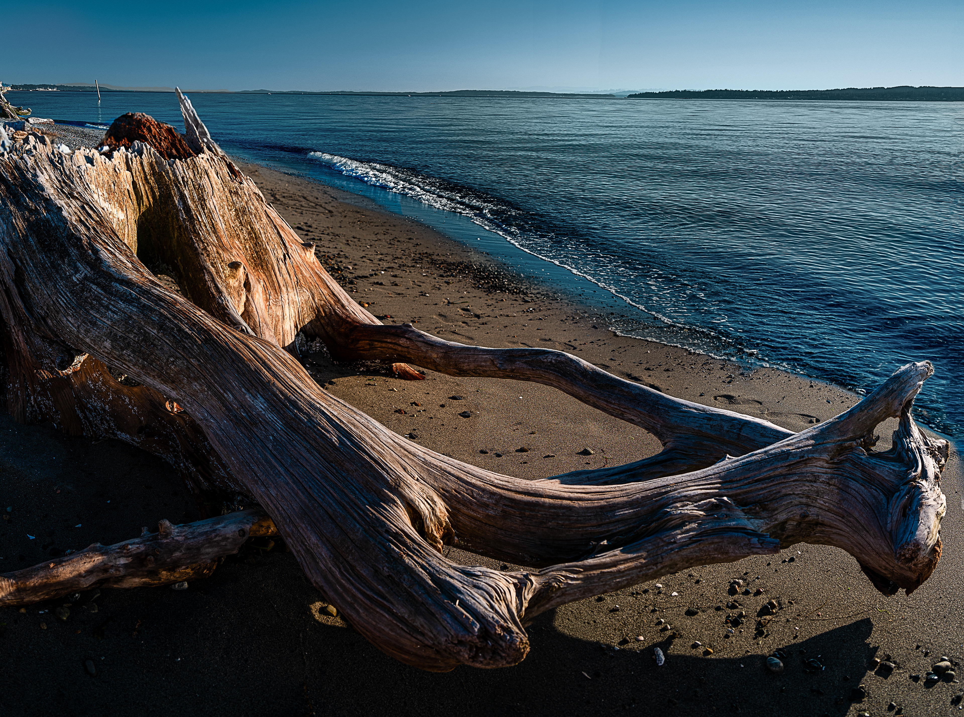 Edmonds Marina Beach