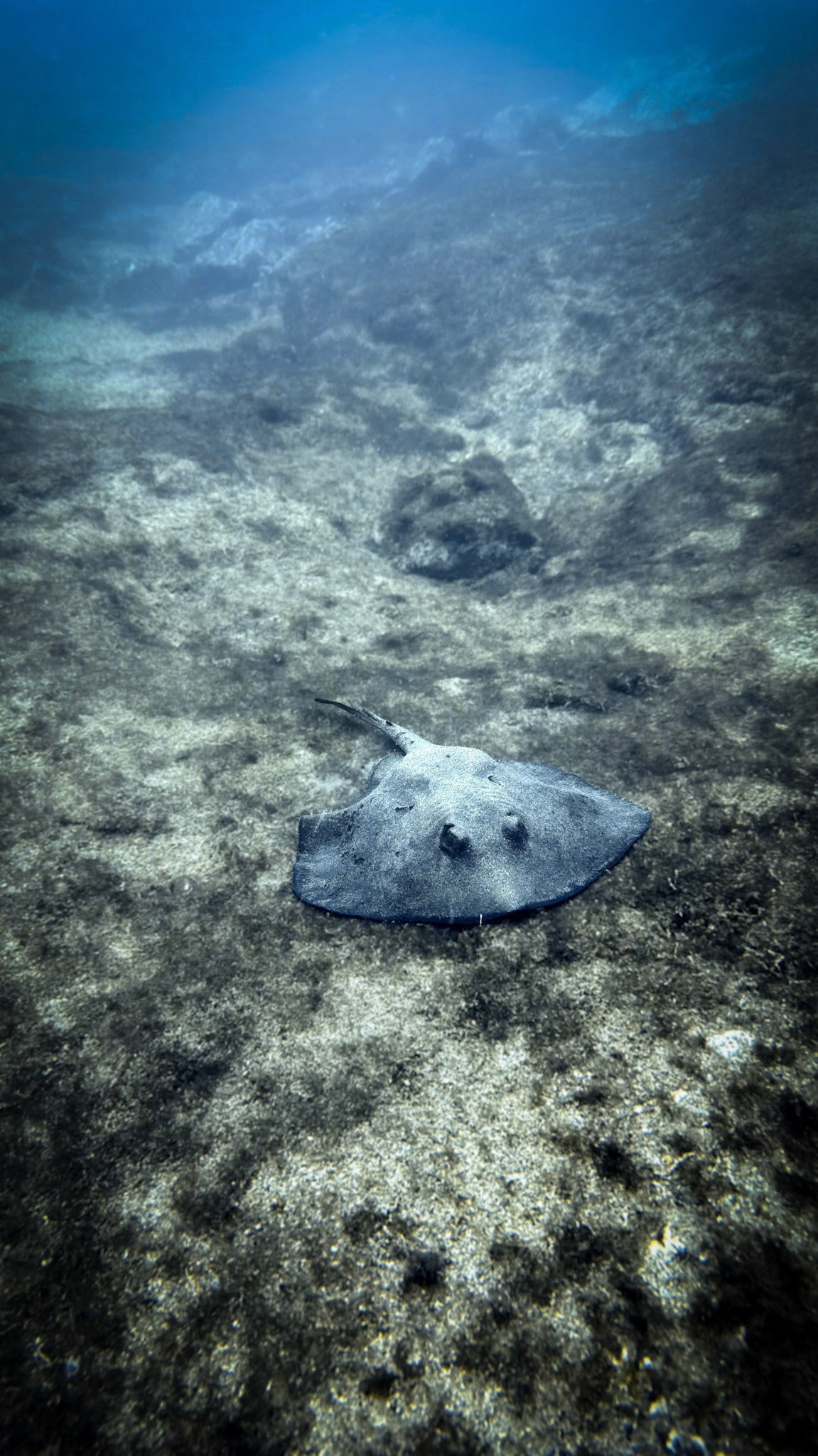 Scuba Diving at Gravel Loader