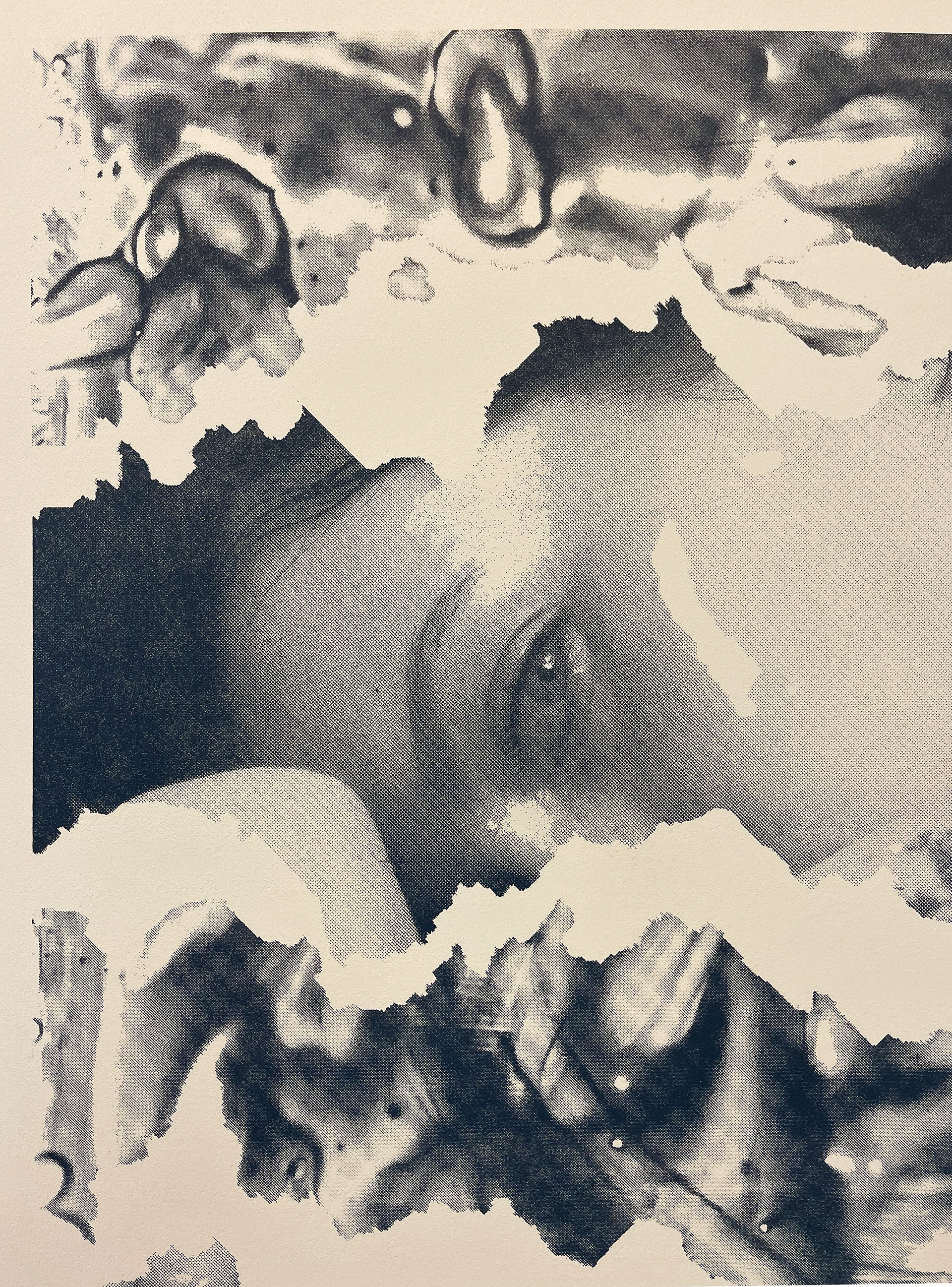 "Look Inside" detail