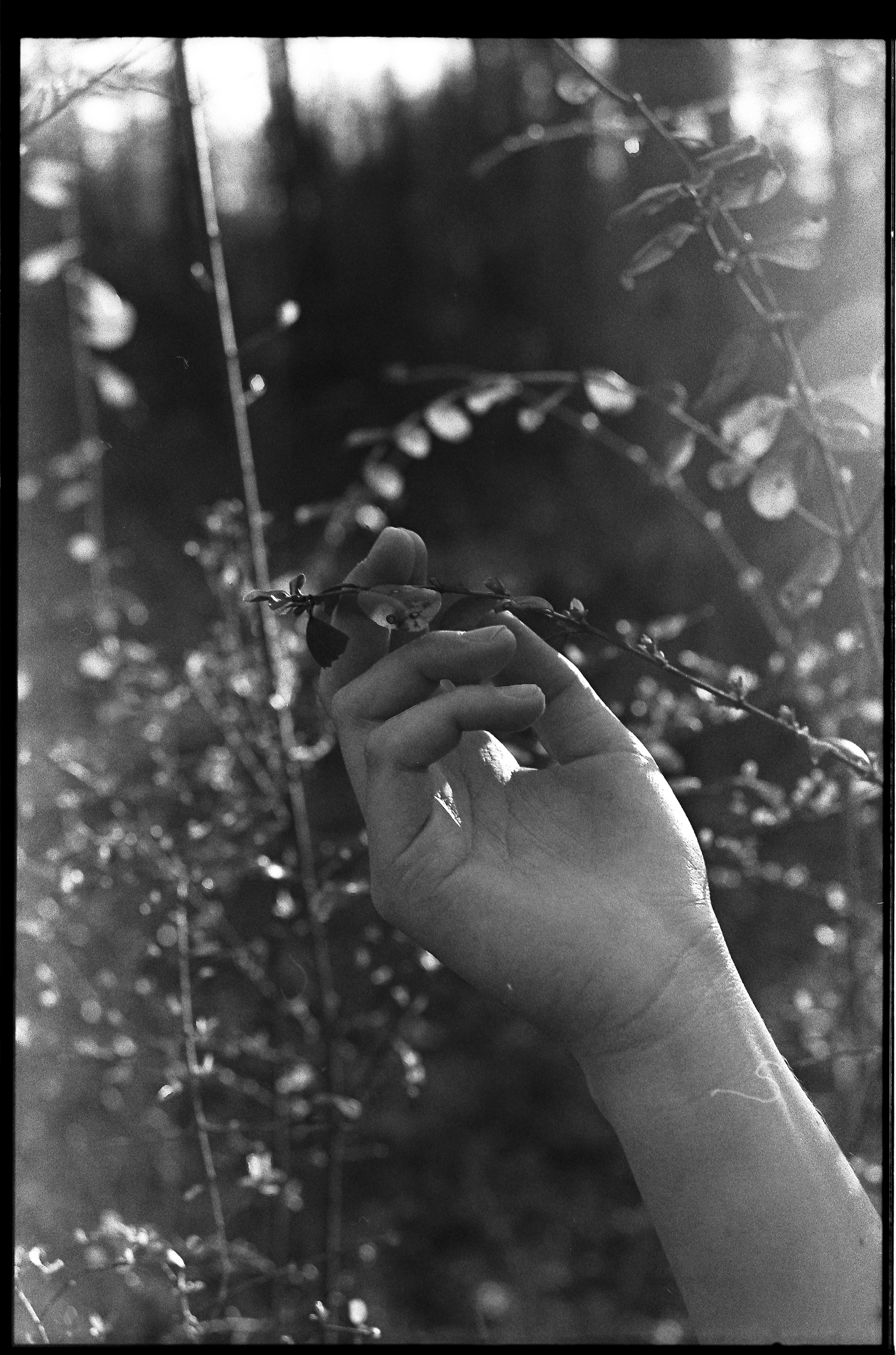 "In the Palm of Your Hand" 2019