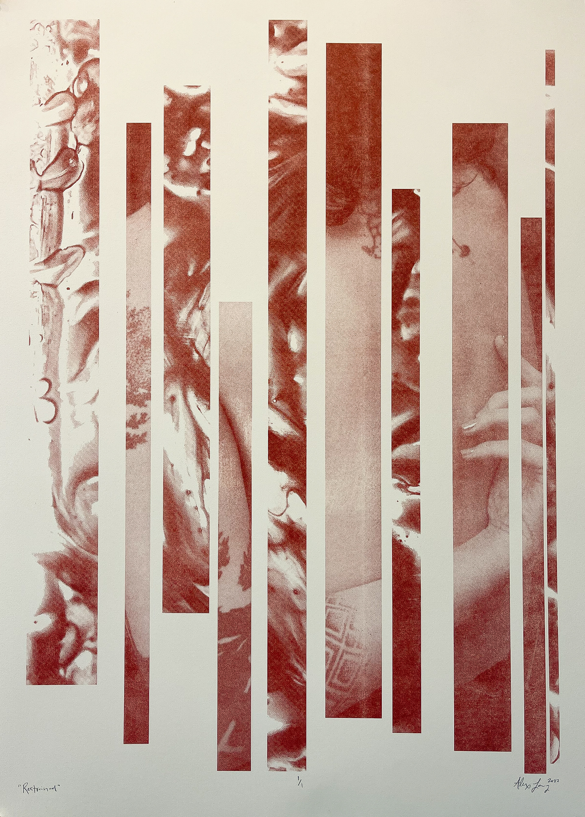 "Restrained" Photo Lithograph 22"x30"