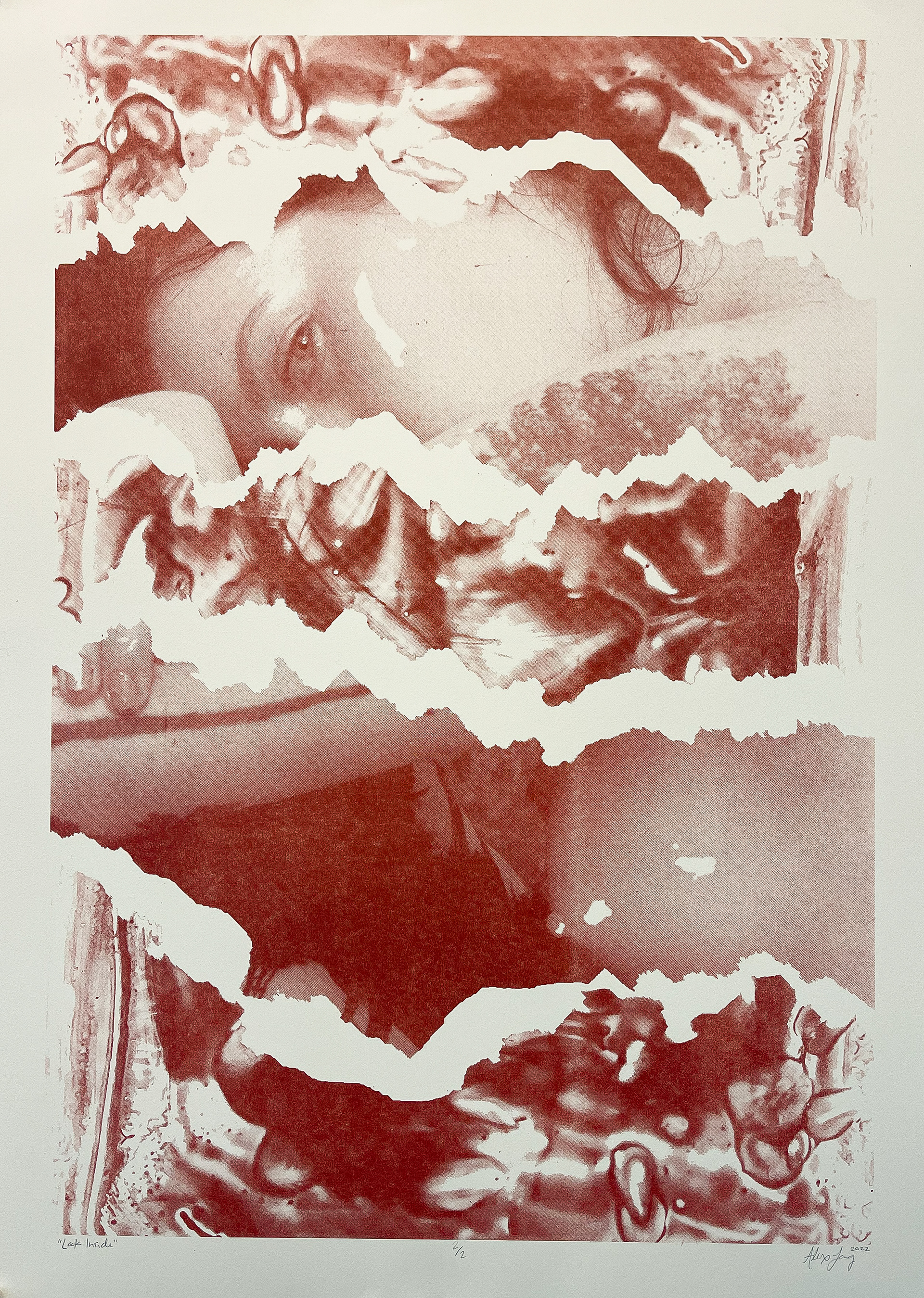 "Look Inside" Photo Lithograph 22"x30"