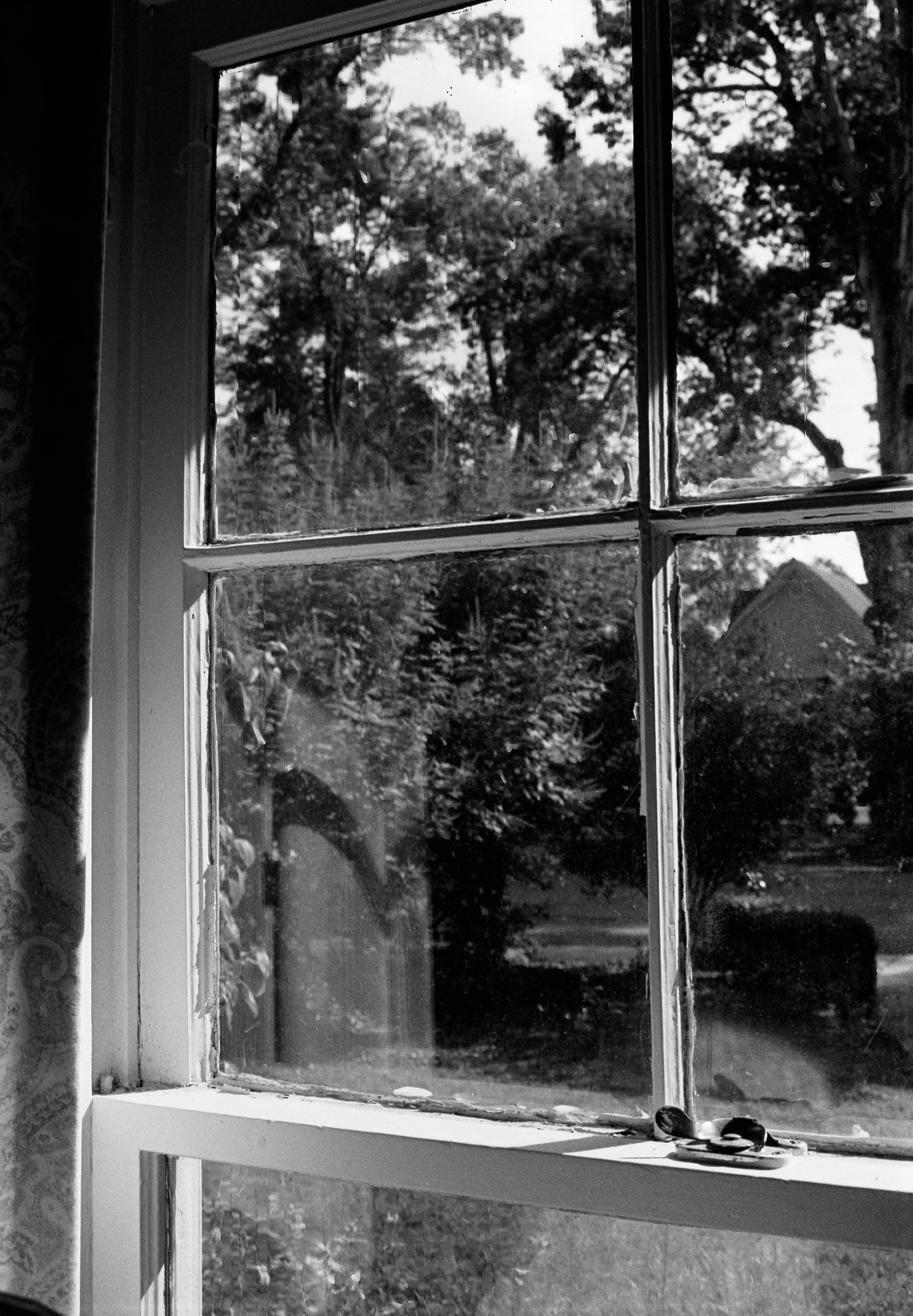 "Window" 2019