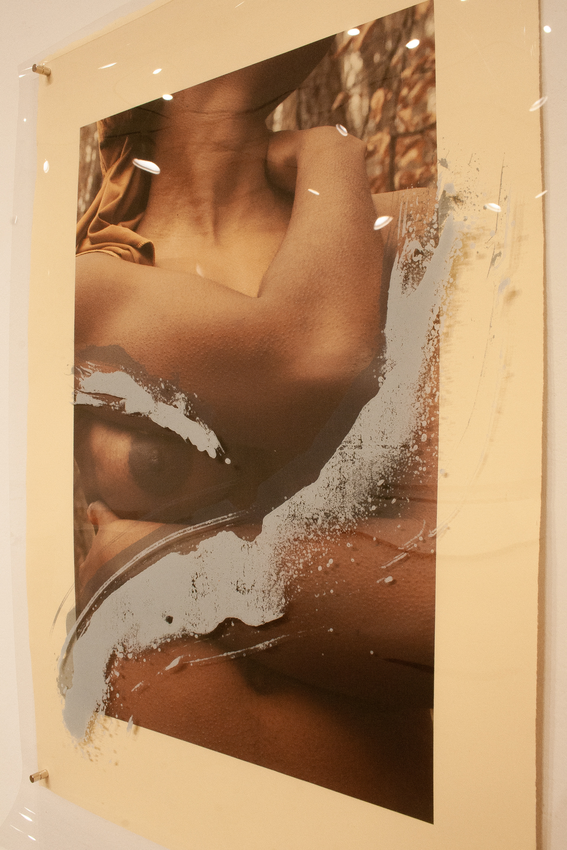 Digital photograph layered with lithograph drawing 13"x19"