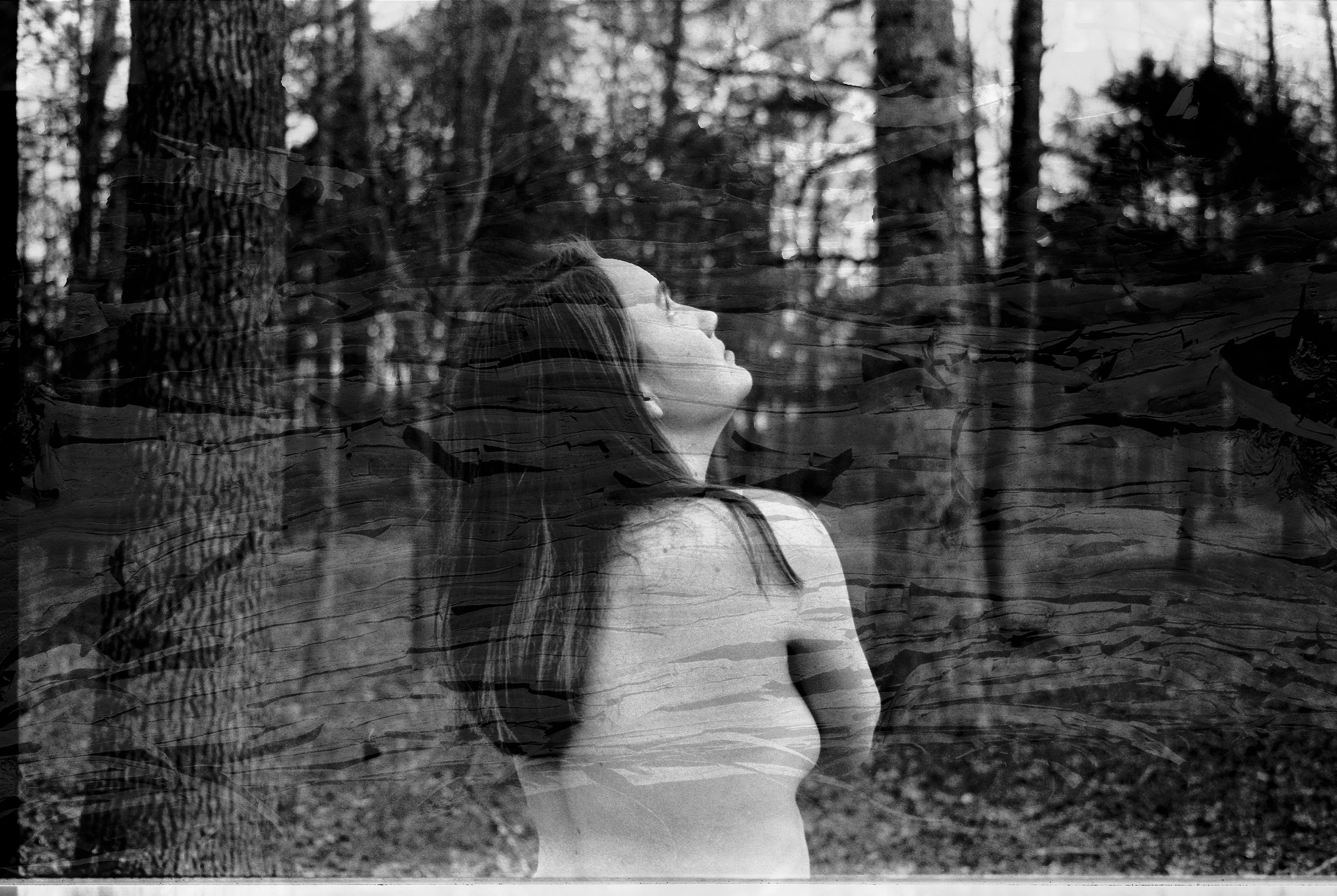 "Woman" 2019
