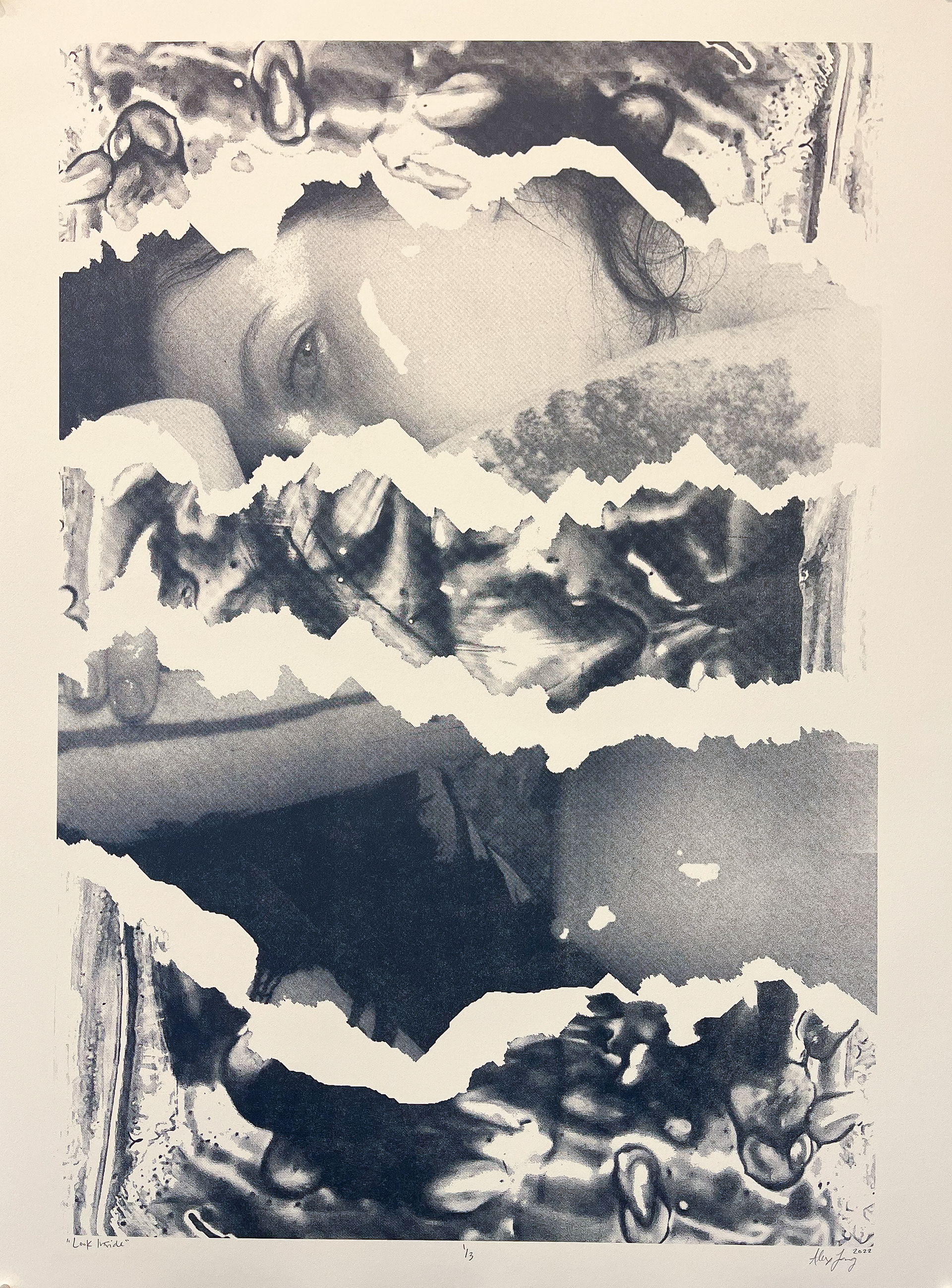 "Look Inside" Photo Lithograph 22"x30"