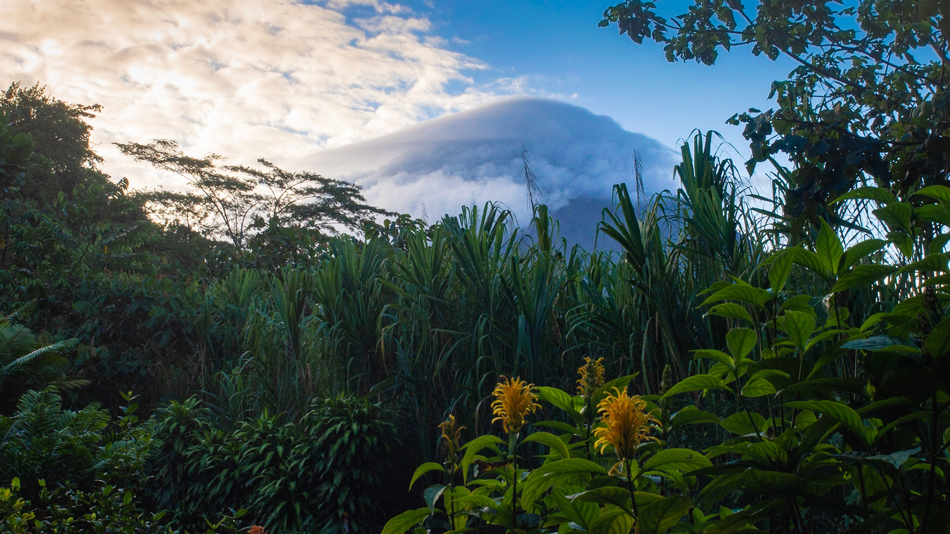 Arenal Volcano, Tabacon