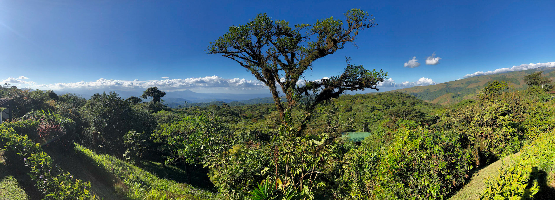 View, Villa Blanca Cloud Forest, San Ramone