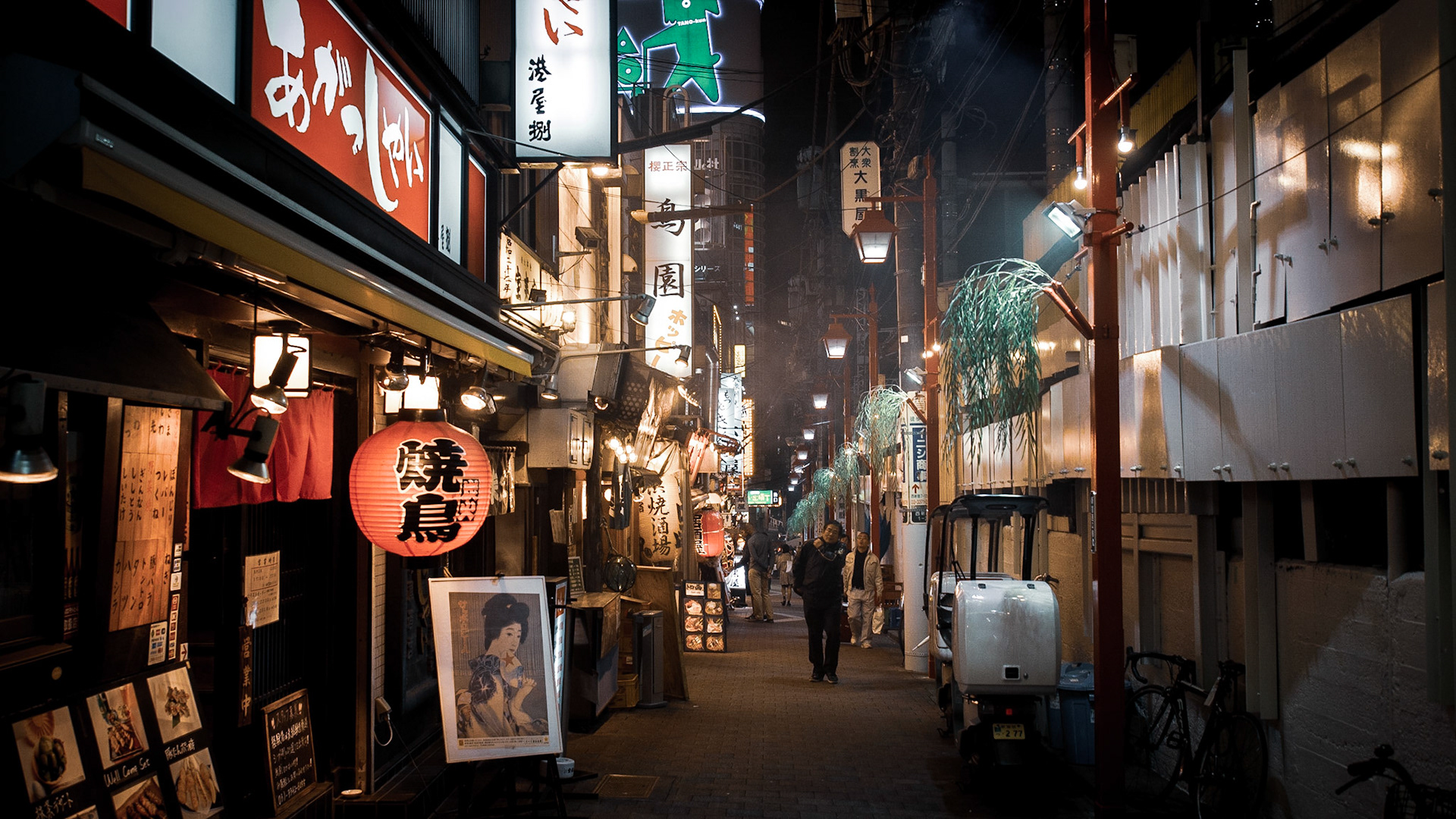 Yakatori Alley Shinjuku, Tokyo Japan