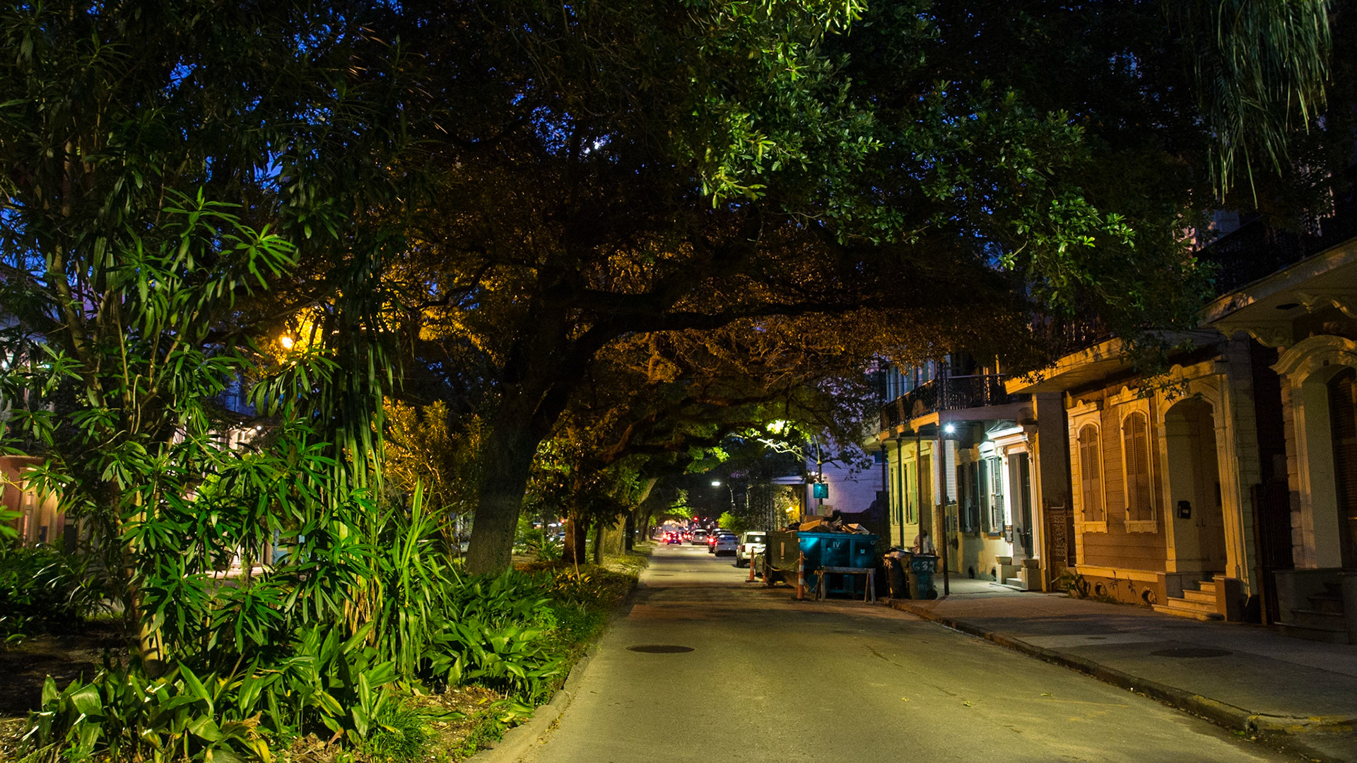Esplanade Avenue, New Orleans, LA