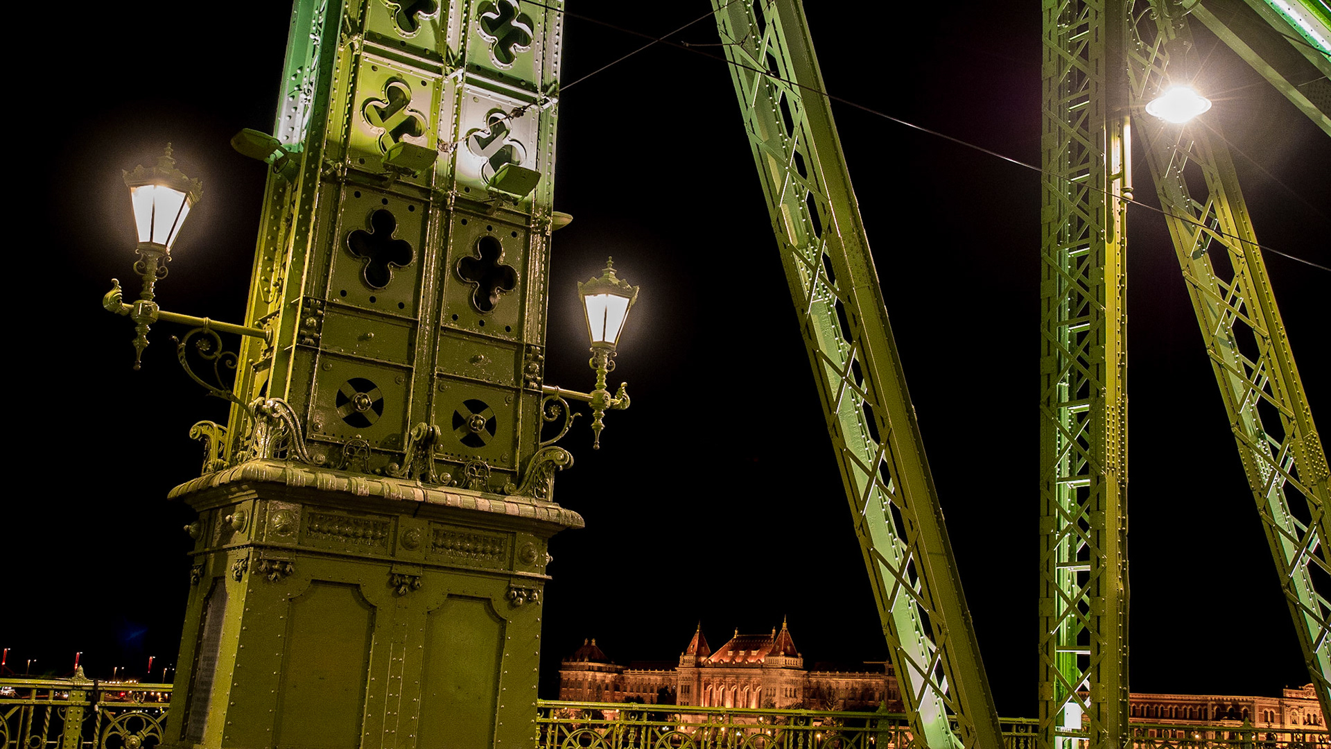 Liberty Bridge/University of Technology, Budapest